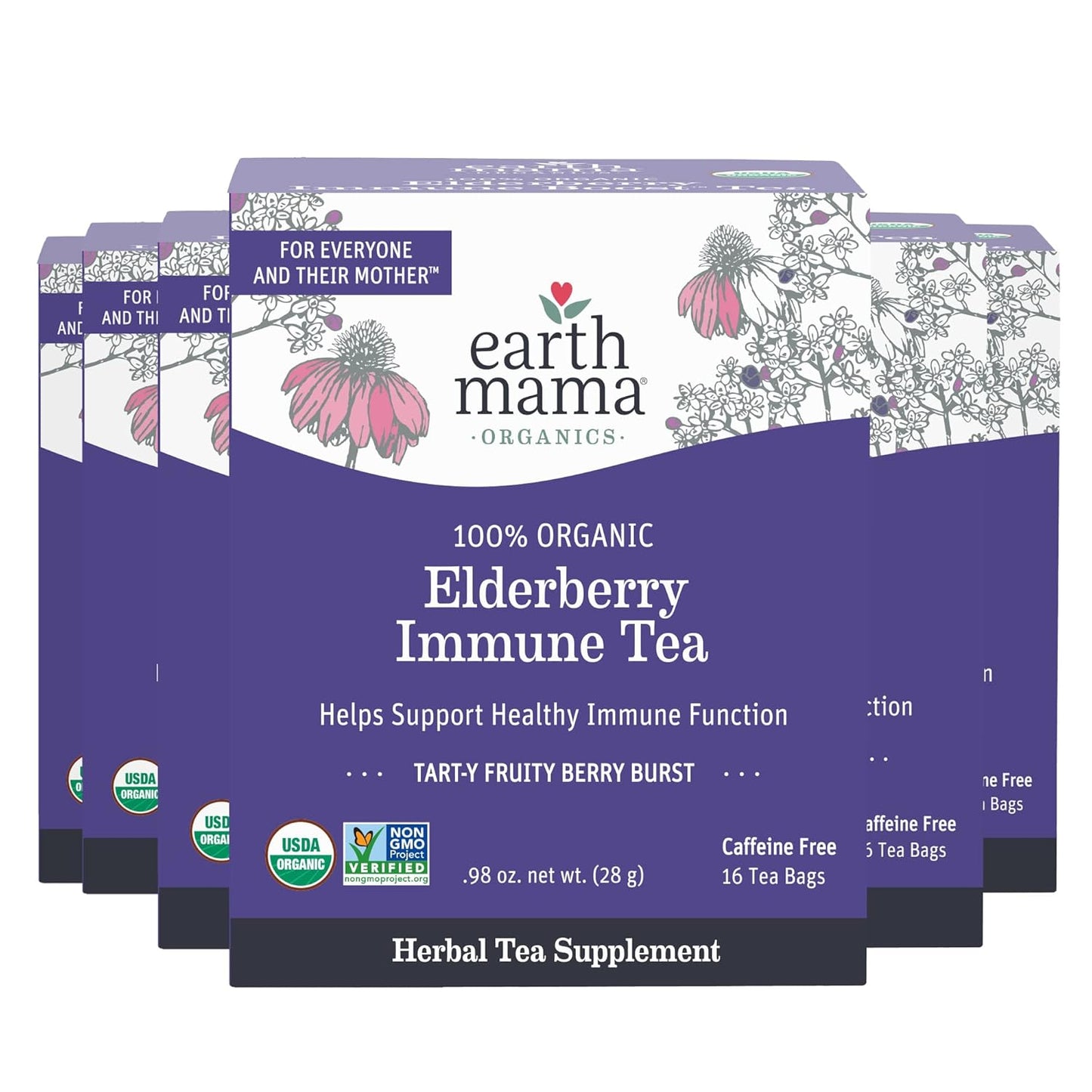 Earth Mama Organic Elderberry Immune Support Tea with Echinacea - Safe for Pregnancy, Breastfeeding, Postpartum, Kids & Family - Decaf Tea with Ginger & Rooibos - 16-Count (6-Pack)