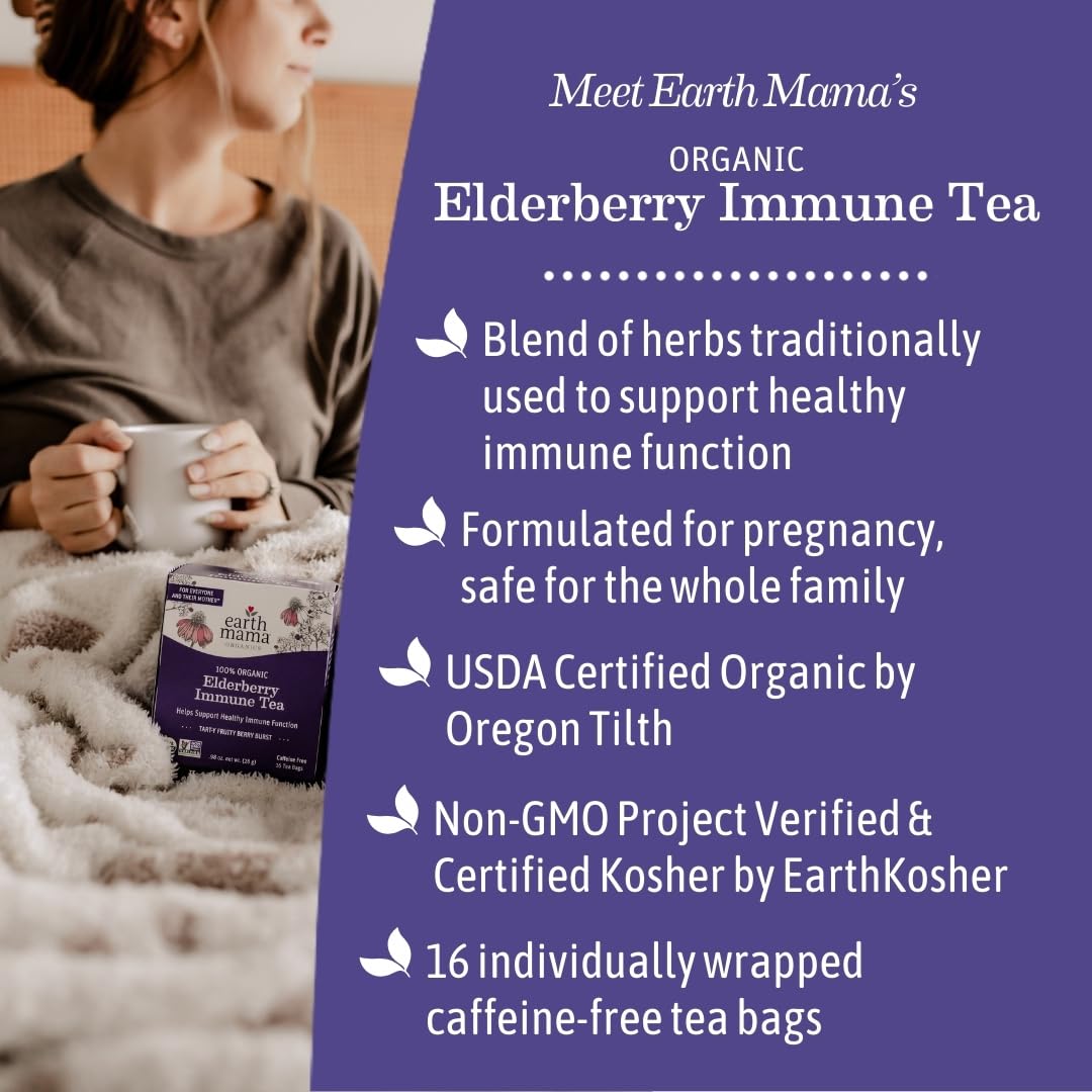 Earth Mama Organic Elderberry Immune Support Tea with Echinacea - Safe for Pregnancy, Breastfeeding, Postpartum, Kids & Family - Decaf Tea with Ginger & Rooibos - 16-Count (6-Pack)