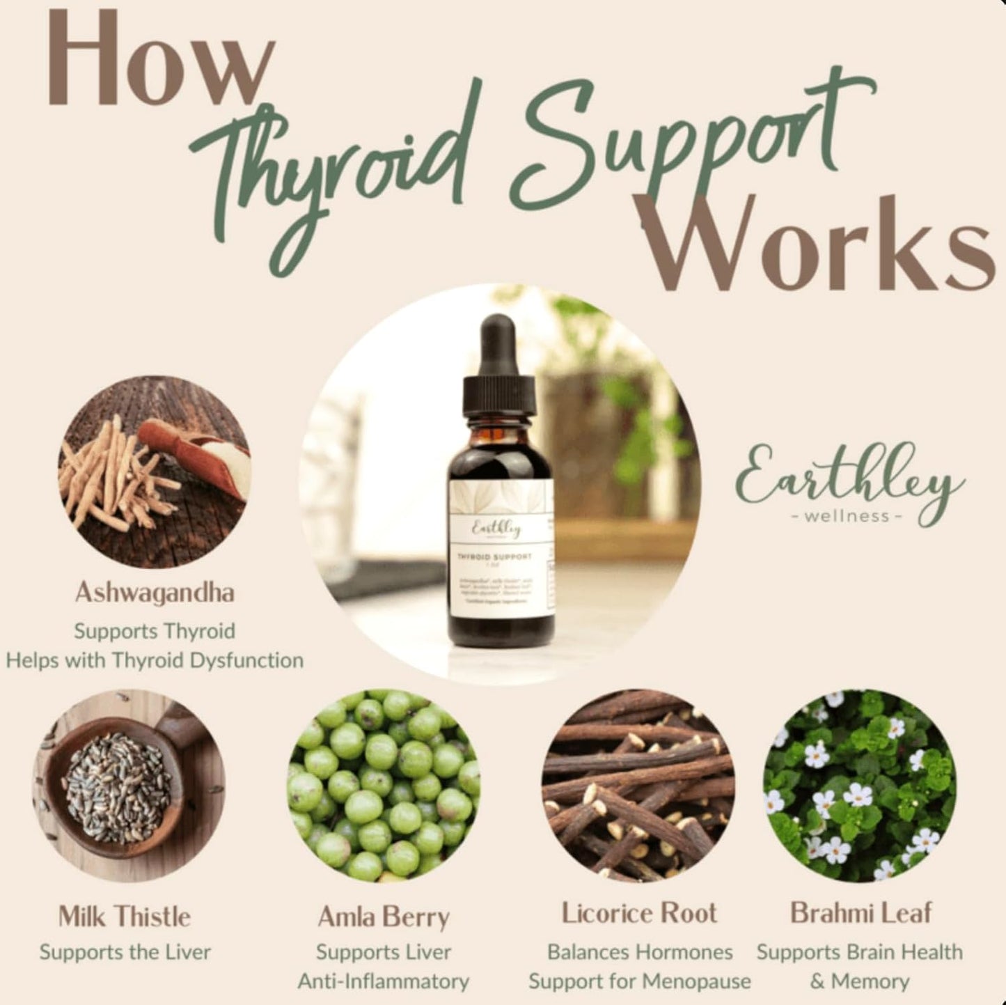 Earthley Wellness Thyroid Support - Natural Energy Boost and Brain Health - 4oz