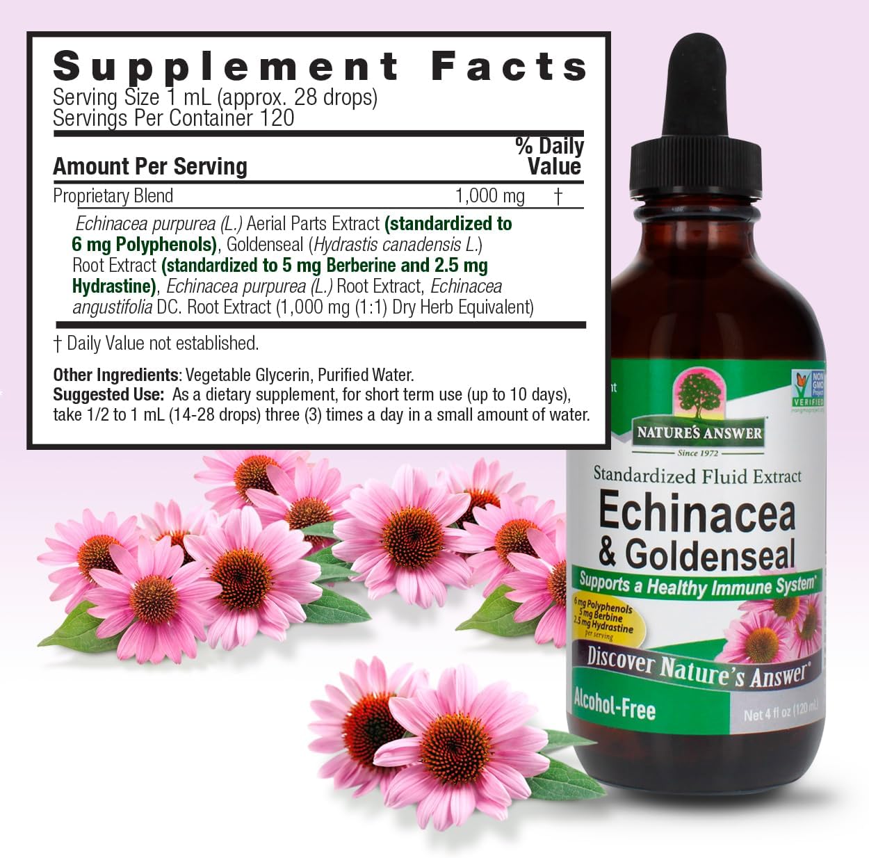 Echinacea and Goldenseal Extract for Immune Support | Non-GMO, Alcohol-Free, Gluten-Free & Kosher Certified | 4oz Bottle