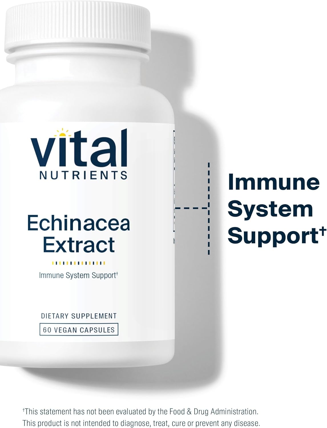 Echinacea Extract 1000mg Capsules - Vegan Immune Support Supplement - Gluten, Dairy, Soy Free - Non-GMO - 60 Count