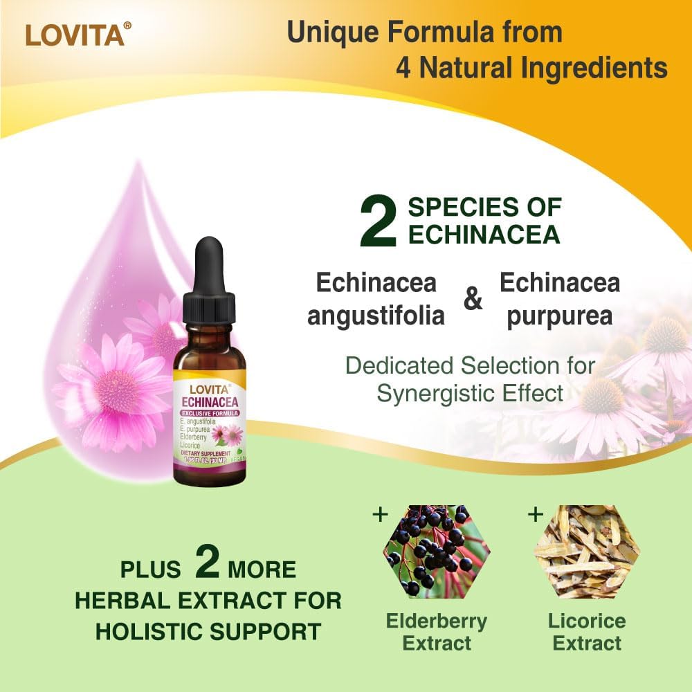 Echinacea Extract Liquid with Elderberry and Licorice | 1 FL OZ | 350 mg per Serving | Concentrated Herb Tincture | Vegan | Alcohol-Free