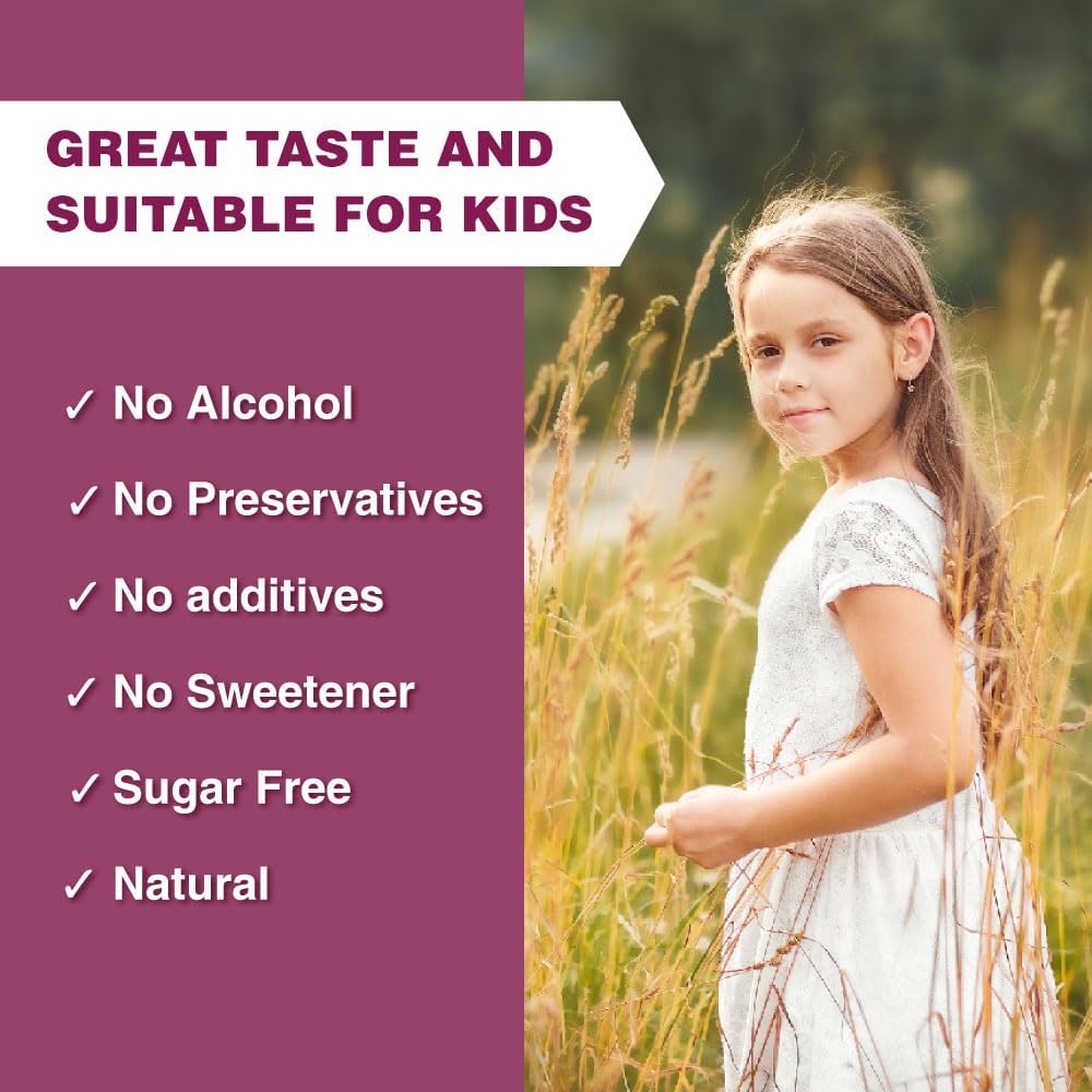 Echinacea Extract Liquid with Elderberry and Licorice | 1 FL OZ | 350 mg per Serving | Concentrated Herb Tincture | Vegan | Alcohol-Free