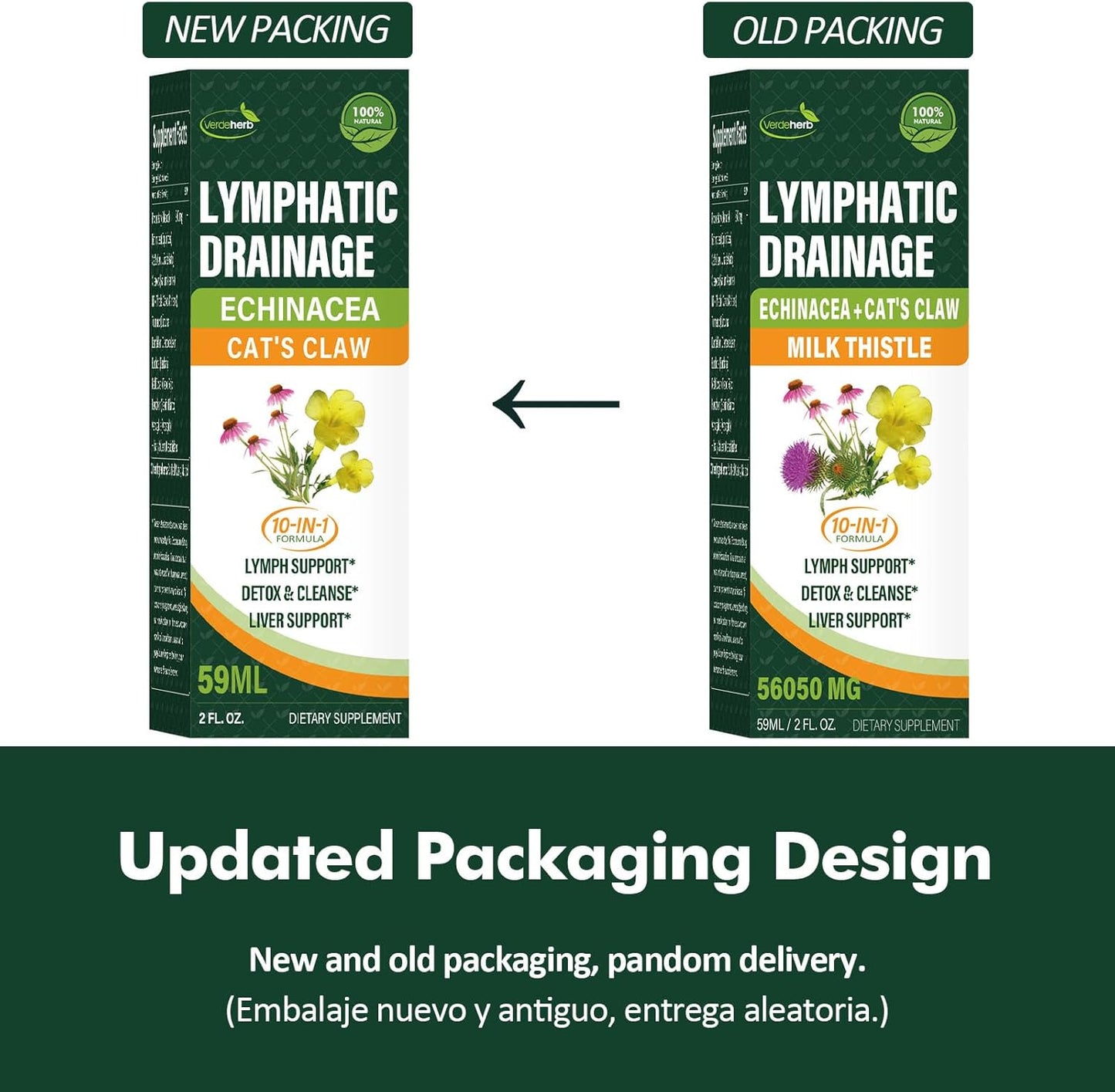 Echinacea Lymphatic Drainage Drops for Immune Support and Detox Cleanse - 4oz
