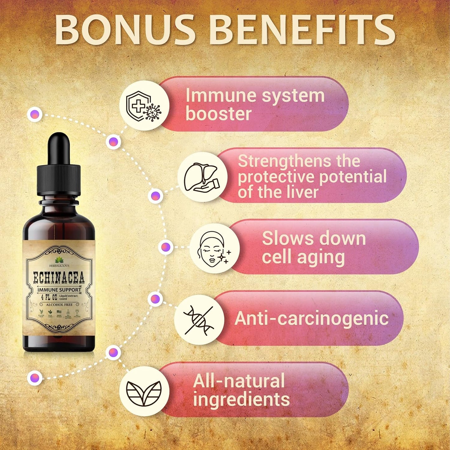Echinacea Supplement Liquid Drops for Immune Support - Herbal Antioxidant Formula - Vegan Tincture, Non-GMO, Gluten-Free 4oz