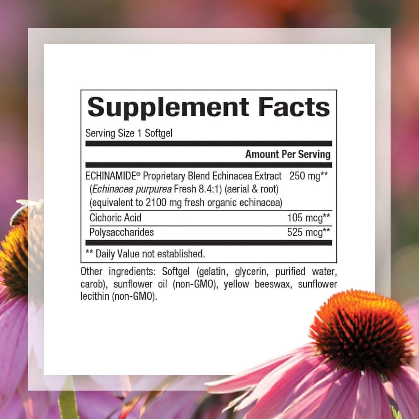 Echinamide Echinacea Supplement, 60 Softgels for Immune & Wellness Support by Natural Factors