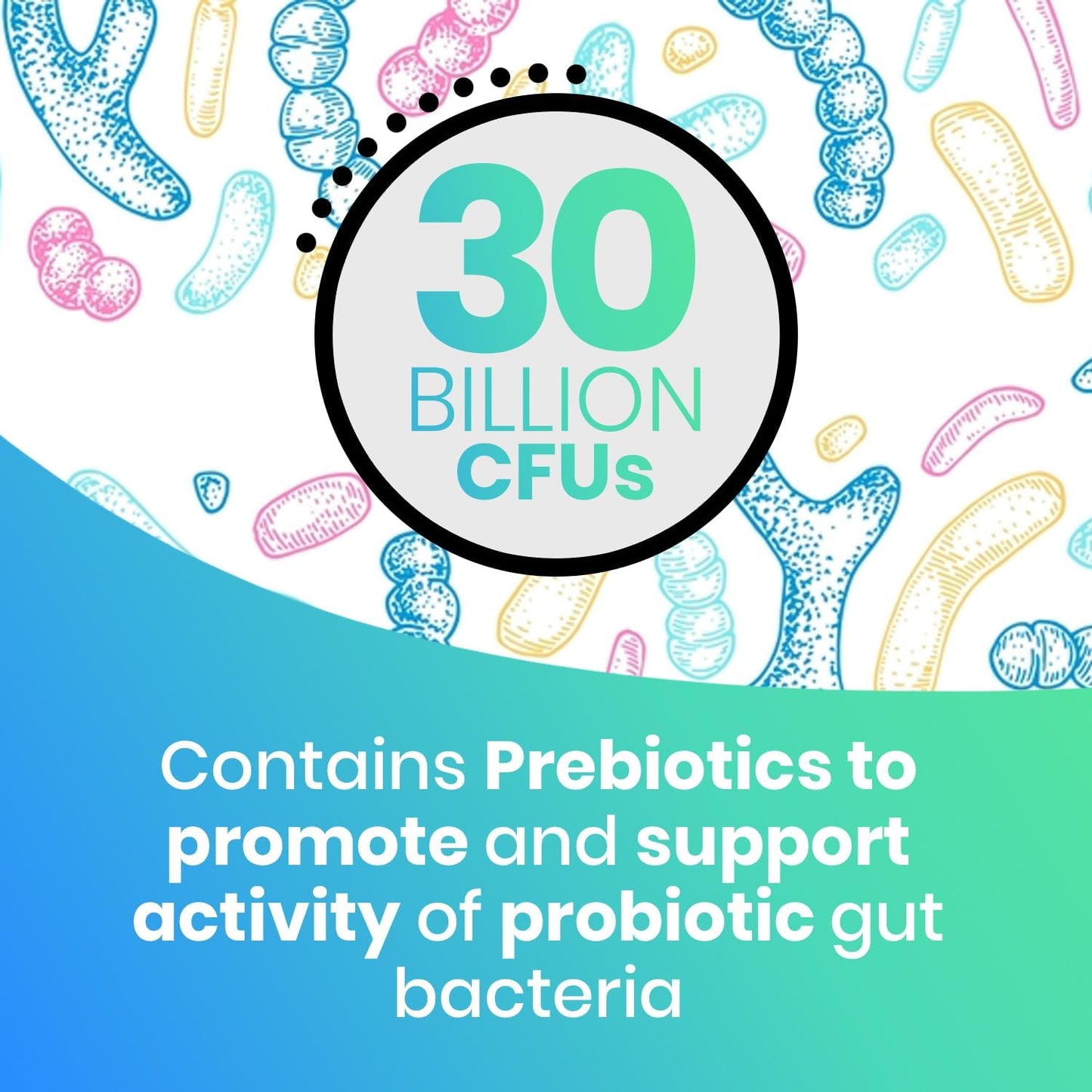 EchoHeals CEUTICALS Acidophilus Probiotic - 30 Billion CFUs for Digestive & Immune Health - 60 Capsules