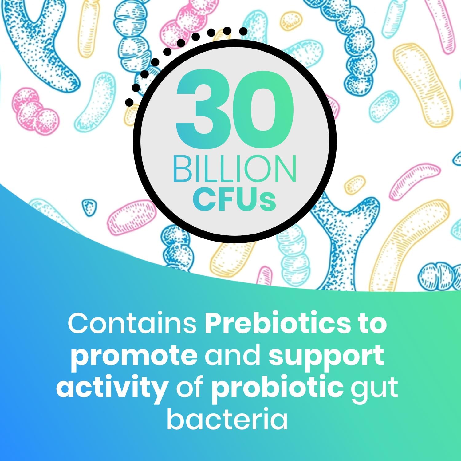 EchoHeals CEUTICALS Acidophilus Probiotic - 30 Billion CFUs for Digestive & Immune Health - 60 Capsules