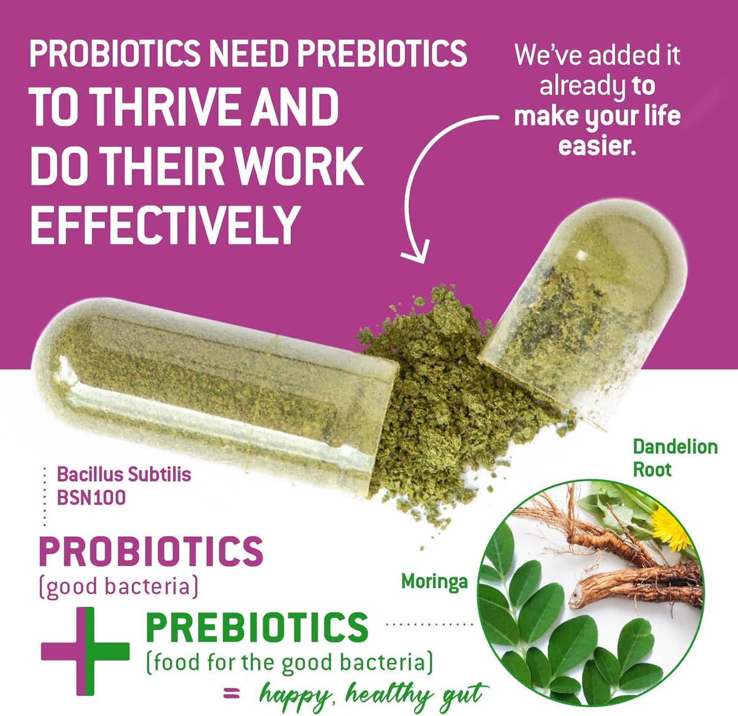 Ecosh High Potency Bacillus Subtilis Probiotic with Prebiotic for Gut Health - 90 Vegetarian Capsules, 6 Billion CFU - BoostGo Australia