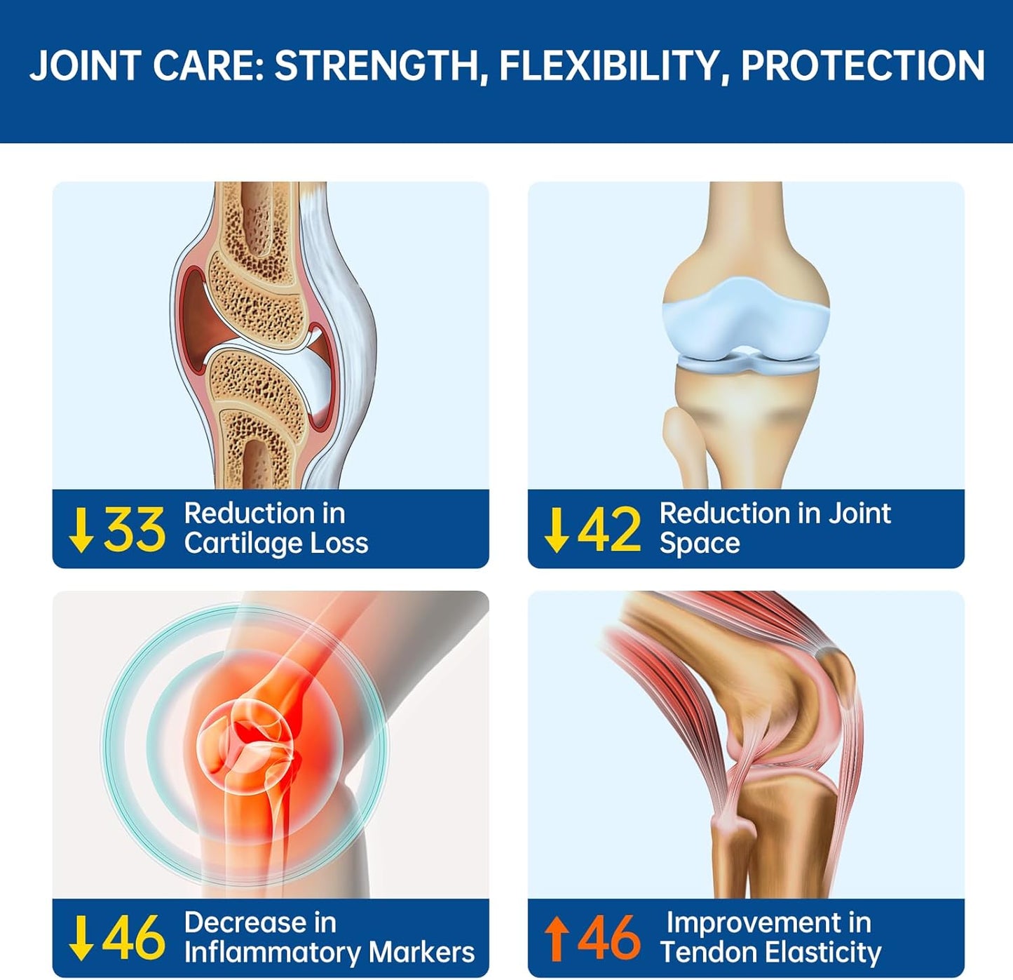 Eggshell Membrane Joint Support Supplement - Reduced Gout Risk, High Absorption, Fast Relief - Glucosamine Chondroitin Sulfate with MSM - 120 ct