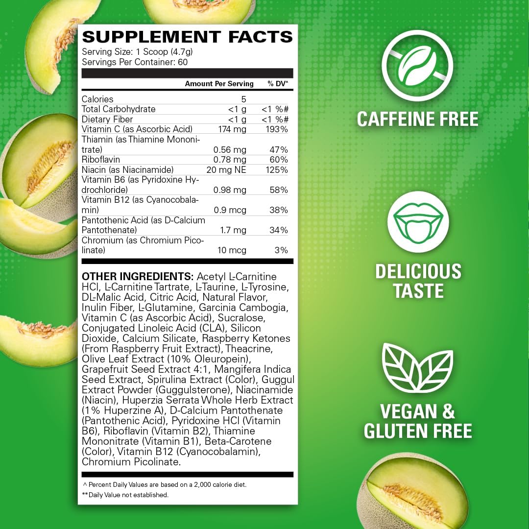 EHP Labs OxyShred Non-Stimulant Pre Workout Powder - Caffeine-Free & Stimulant-Free Formula with L-Glutamine & Acetyl L-Carnitine - Honeydew Melon Flavor, 60 Servings