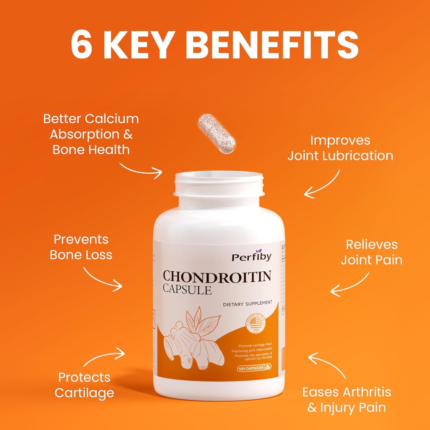 Elderberry and Chondroitin Supplement Bundle for Immune Support