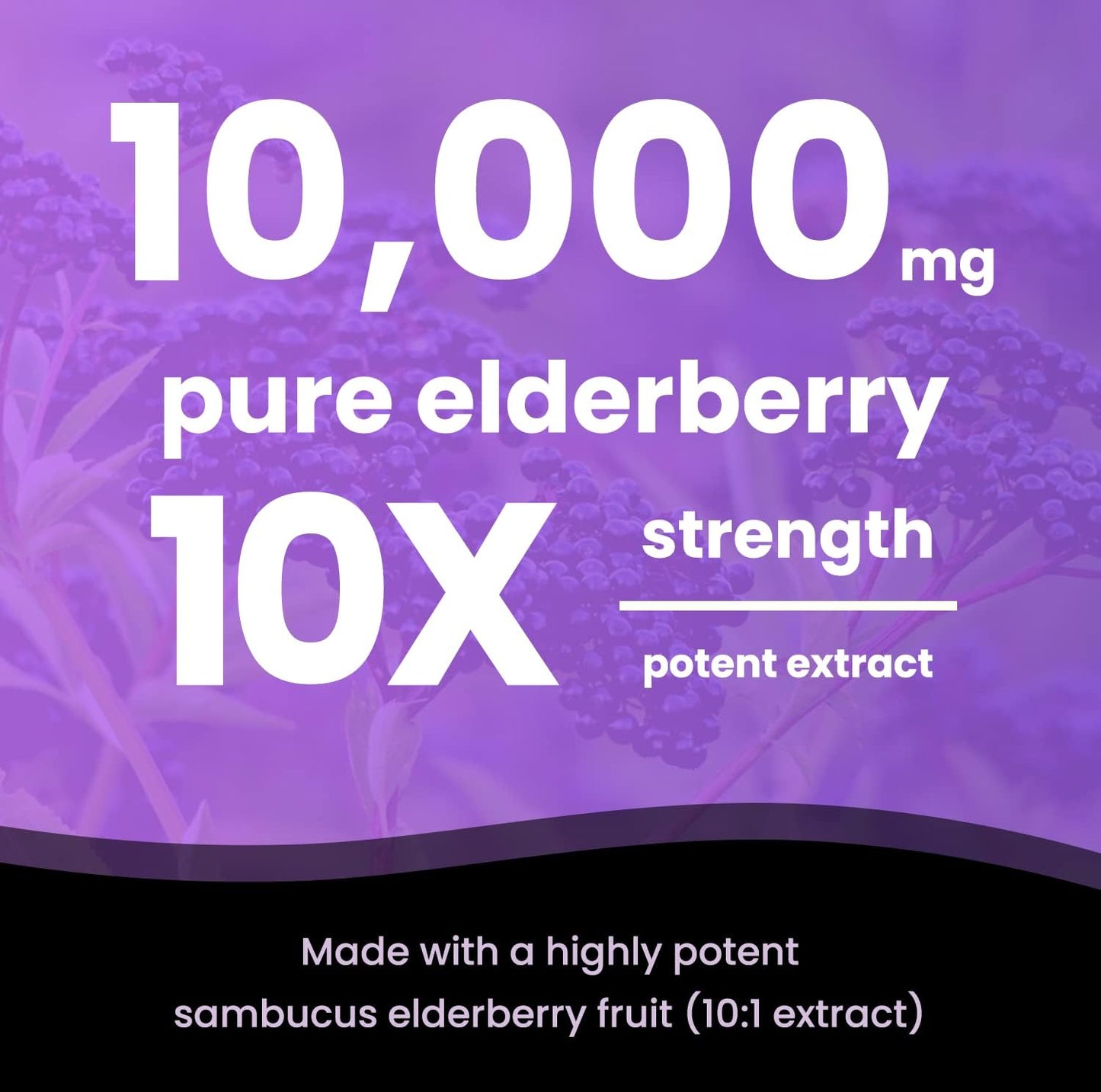 Elderberry and Immune Boost Bundle - NutraChamps (2-Pack) for Immune Support