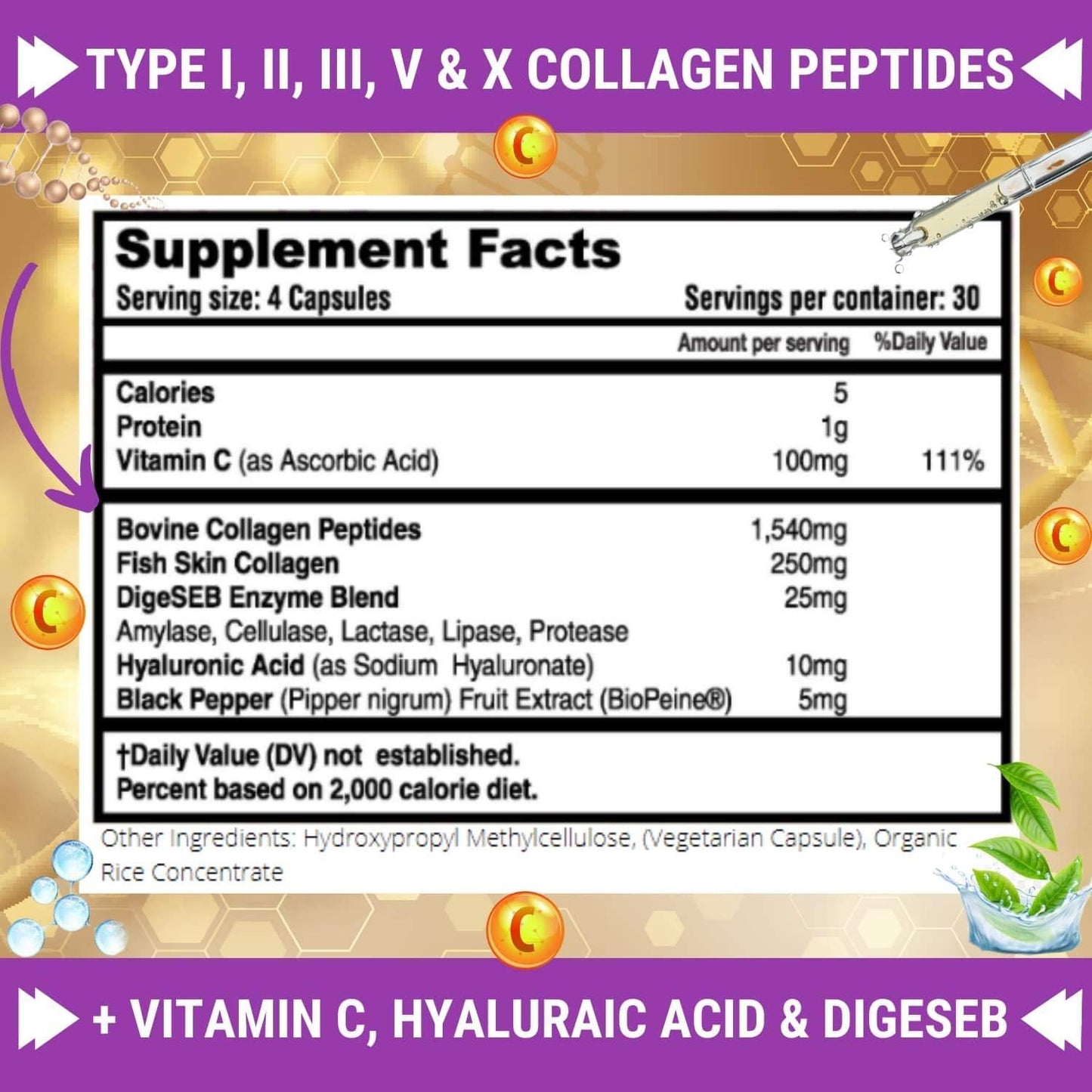 Elderberry Immune Support and Multi Collagen Peptides Bundle for Optimizing Health
