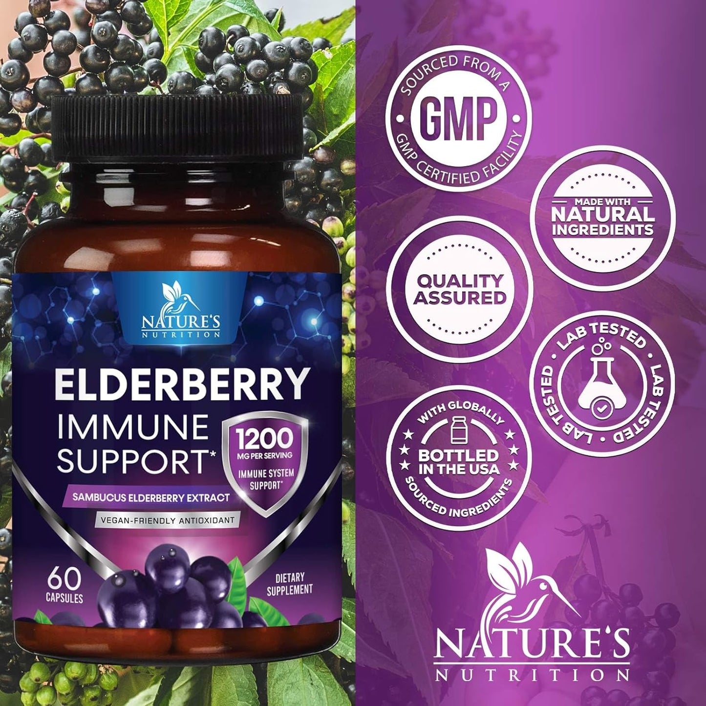 Elderberry Immune Support Capsules - Natural Sambucus Black Elderberry Antioxidant Supplement for Adults - Vegan, Sugar & Gluten Free - 60 Capsules