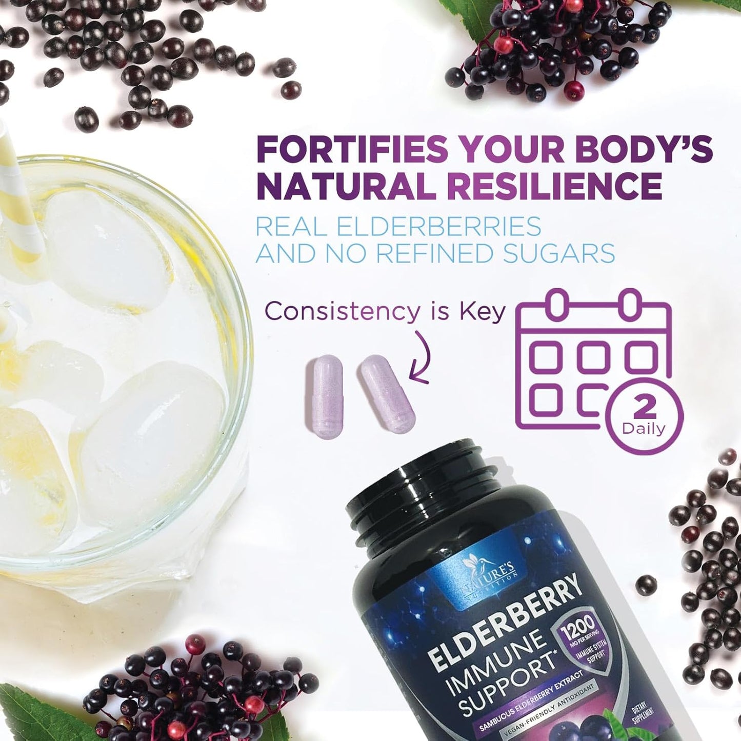 Elderberry Immune Support Capsules - Natural Sambucus Black Elderberry Antioxidant Supplement for Adults - Vegan, Sugar & Gluten Free - 60 Capsules