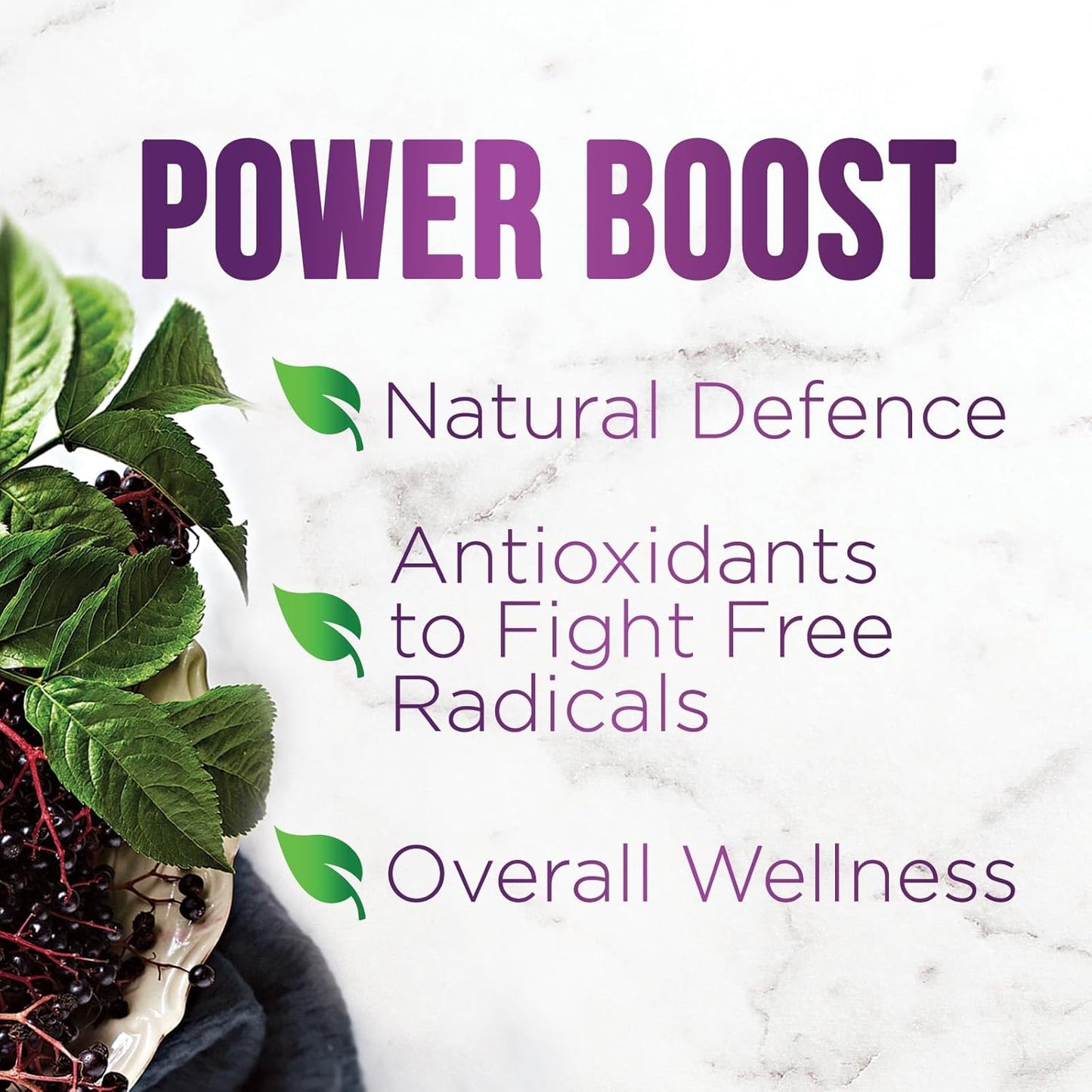 Elderberry Immune Support Capsules - Natural Sambucus Black Elderberry Antioxidant Supplement for Adults - Vegan, Sugar & Gluten Free - 60 Capsules