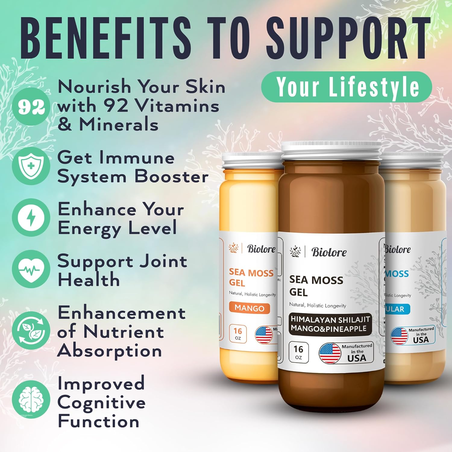 Elderberry-Infused Biolore Sea Moss Gel with Shilajit