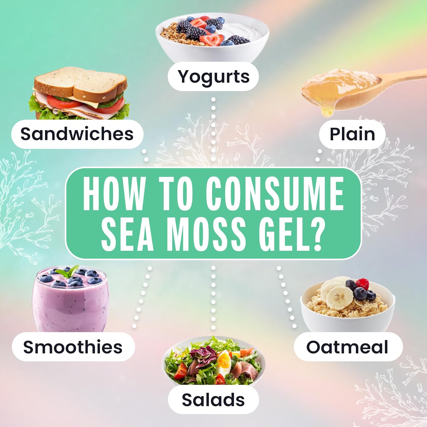 Elderberry-Infused Biolore Sea Moss Gel with Shilajit