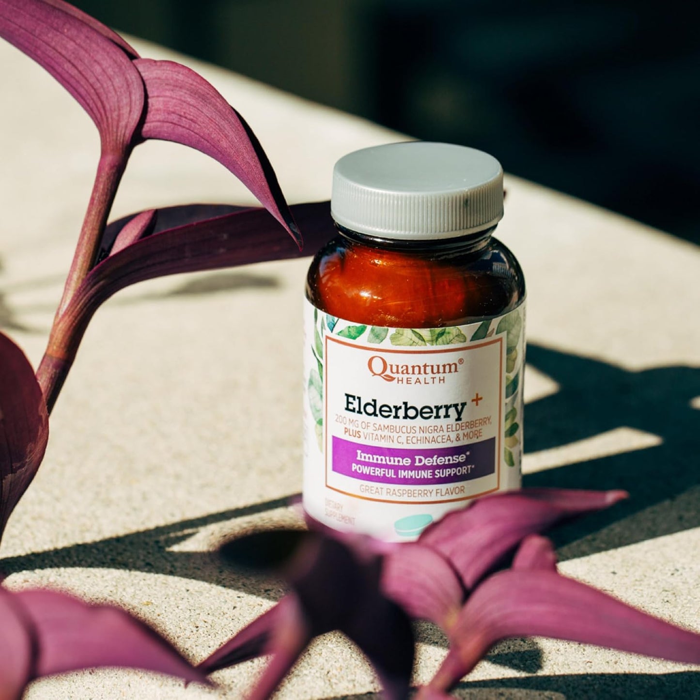 Elderberry + Raspberry Lozenges with Echinacea & Vitamin C for Immune Support - 36 Count