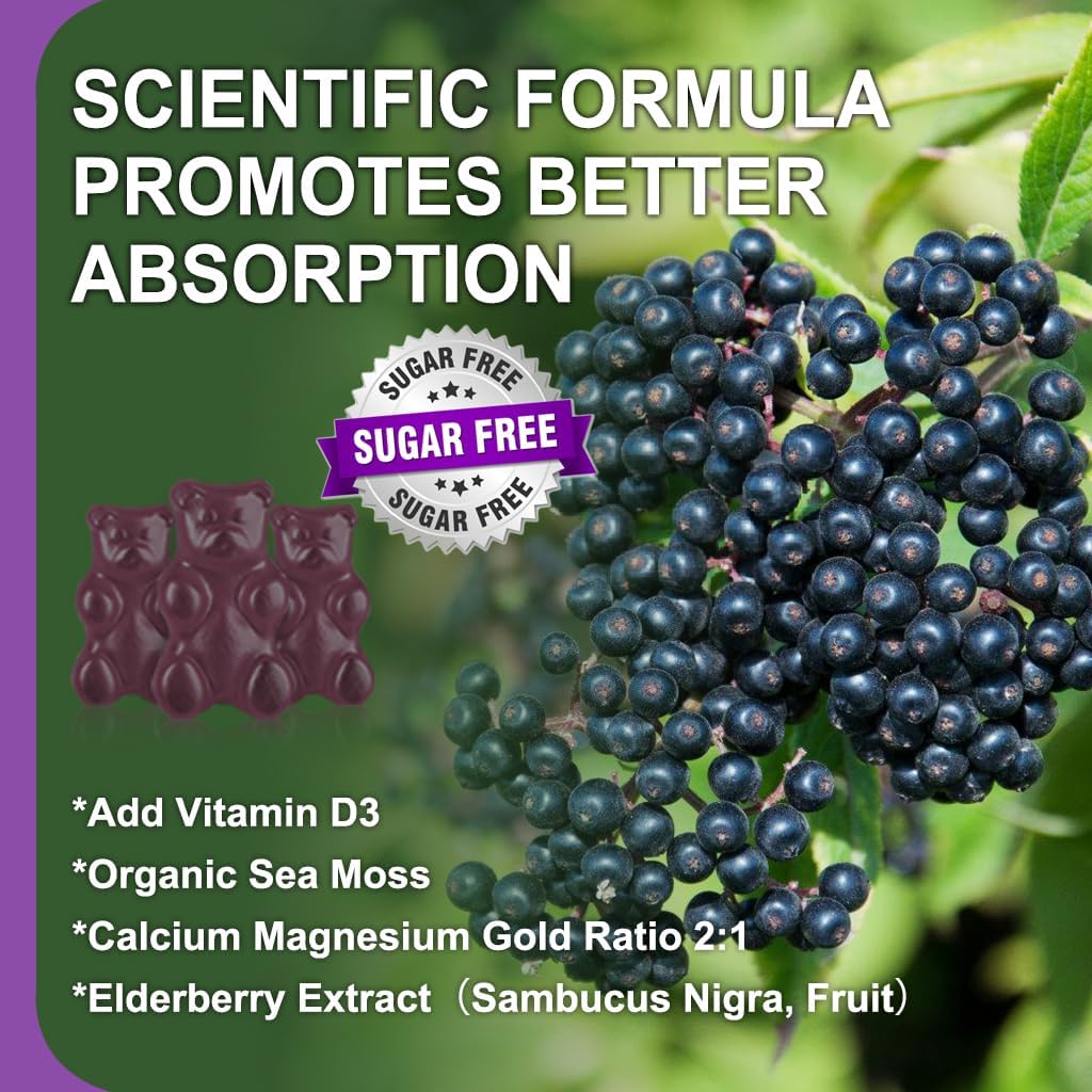 Elderberry Sea Moss Gummies with Calcium, Magnesium, and Zinc - Vitamin D3 for Bones, Muscles, Mood & Sleep - 60 Sugar-Free Gummies