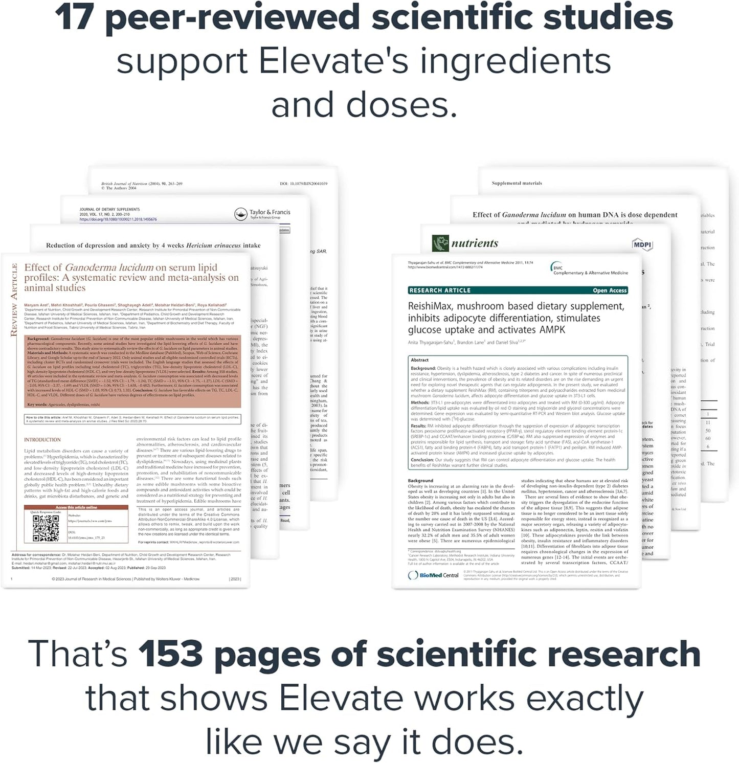 Elevate Mushroom Supplement Powder - Lions Mane, Reishi, Beta-Glucan Blend - Boost Immune System, Mood, Performance - Dutch Chocolate - 30 Servings