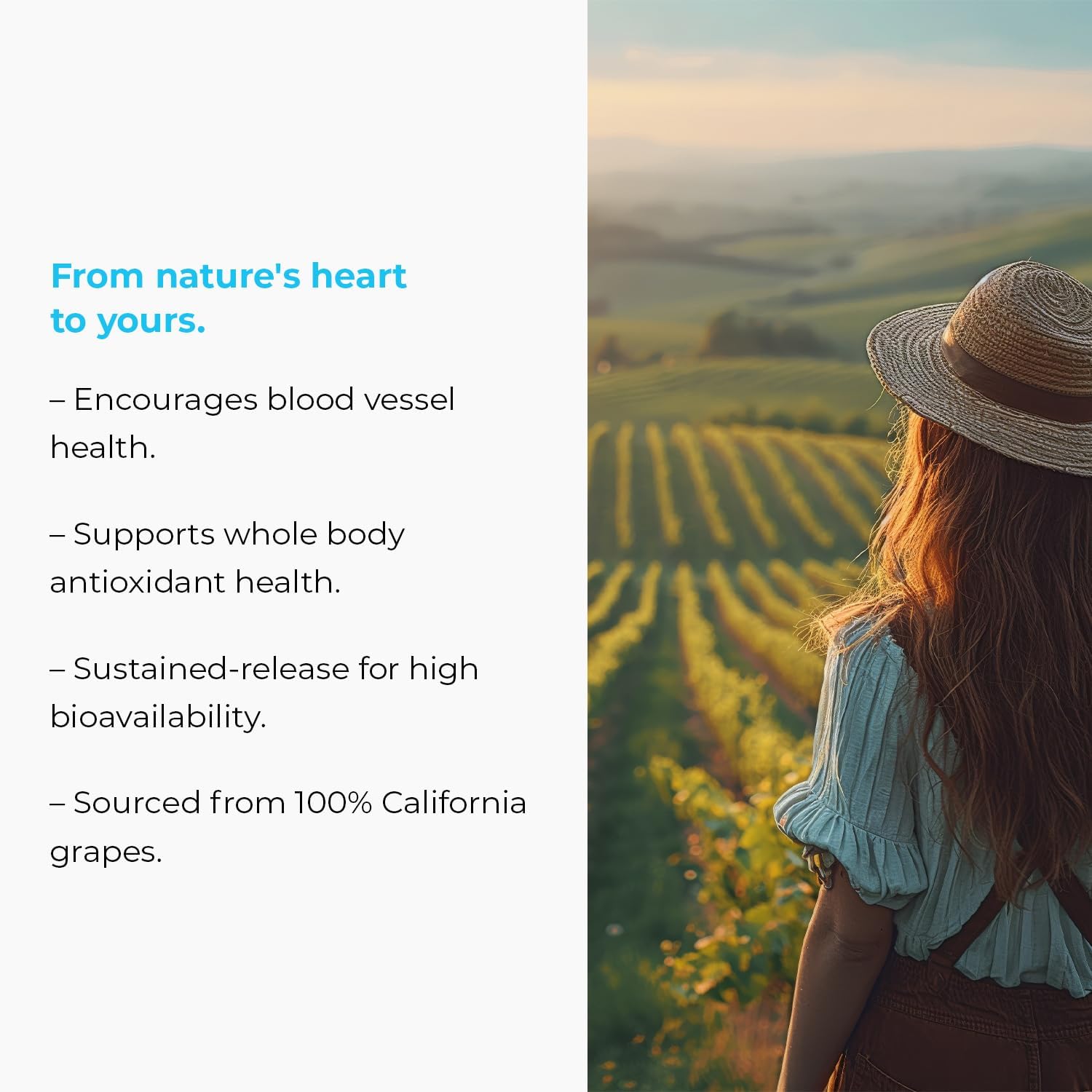 Endurance Products MegaNatural BP Grape Seed Extract Supplements - Sustained-release California Grape Seed Extract Tablets for Energy Support - BoostGo Australia