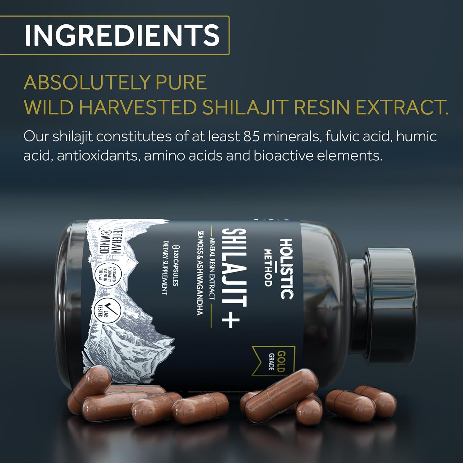 Energy-Boosting Himalayan Shilajit Capsules with Sea Moss & Ashwagandha - 120 Resin Capsules for Men & Women - Immune Support & Vitality Boost