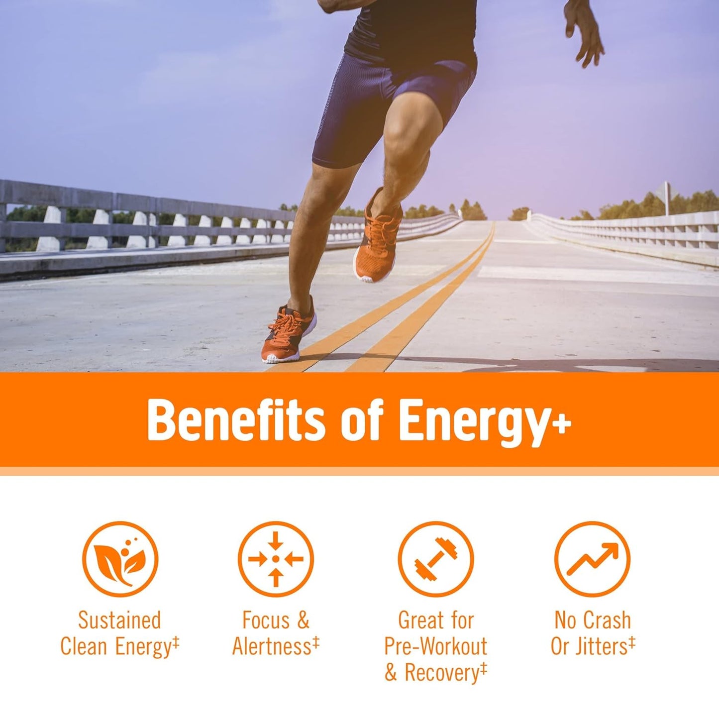 Energy-Boosting Mushroom Powder Mix with Cordyceps, Turmeric & B Vitamins, Citrus Orange Flavor - 7.05oz, 32 Servings, Pre-Workout & Immune Support