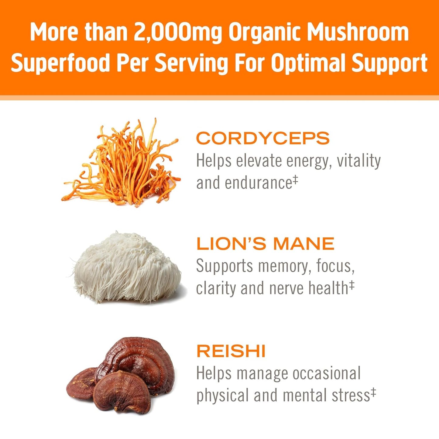 Energy-Boosting Mushroom Powder Mix with Cordyceps, Turmeric & B Vitamins, Citrus Orange Flavor - 7.05oz, 32 Servings, Pre-Workout & Immune Support