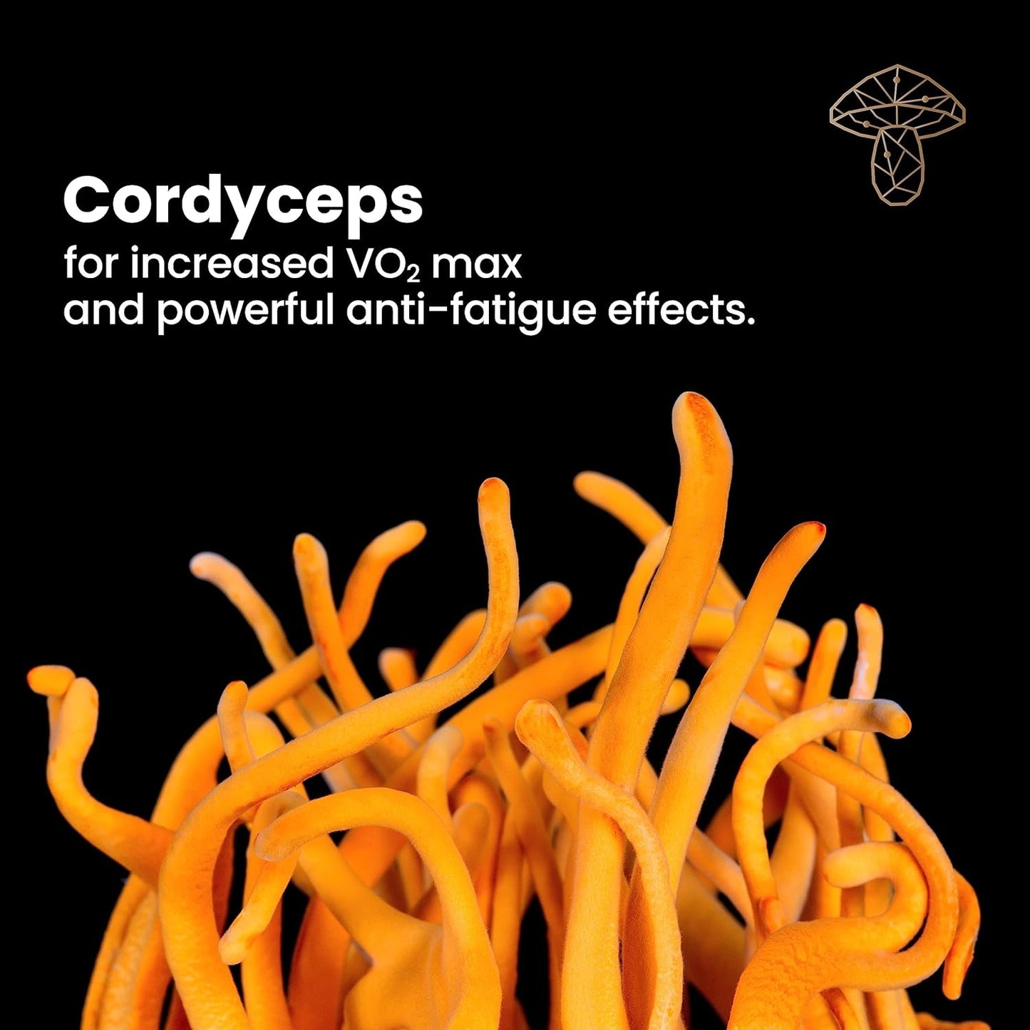 Energy-Boosting Mushroom Supplement with Cordyceps, Ashwagandha, and Guarana - 3X Mushroom Strength - Enhances Energy and Stamina - 60 Capsules