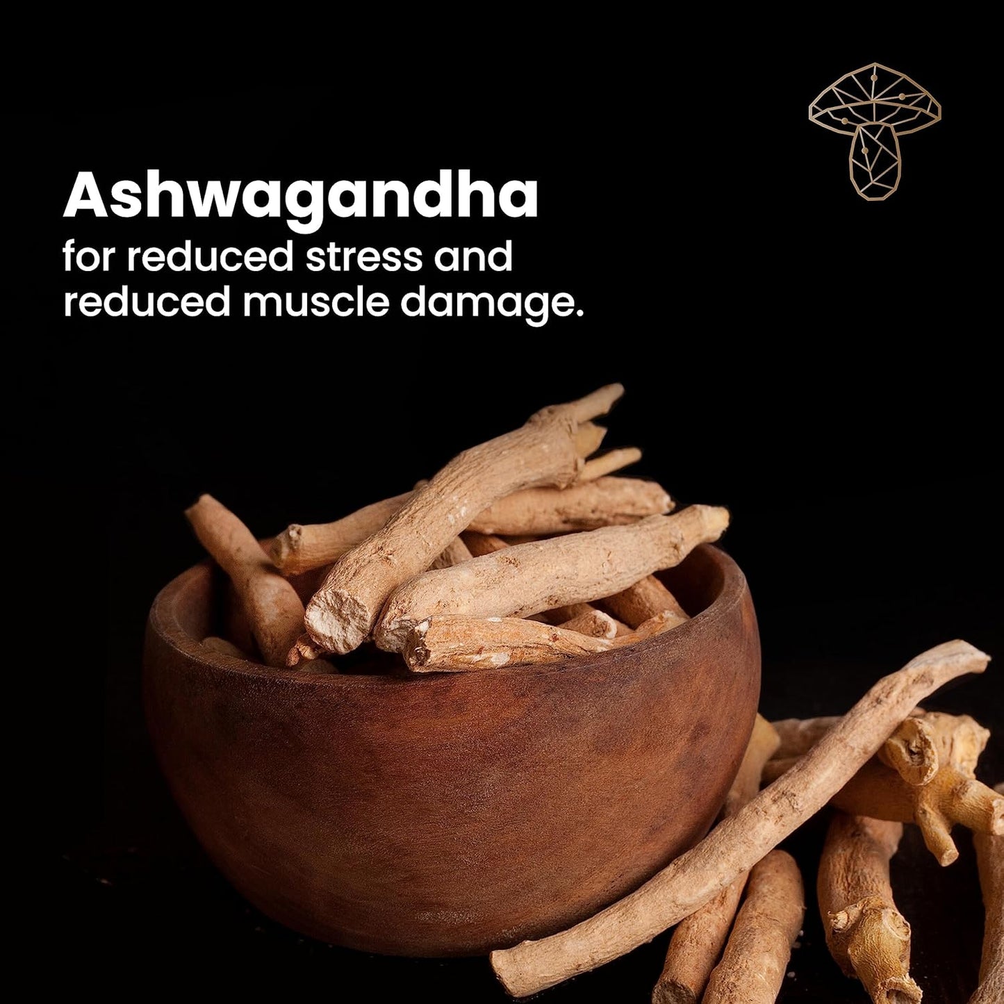 Energy-Boosting Mushroom Supplement with Cordyceps, Ashwagandha, and Guarana - 3X Mushroom Strength - Enhances Energy and Stamina - 60 Capsules