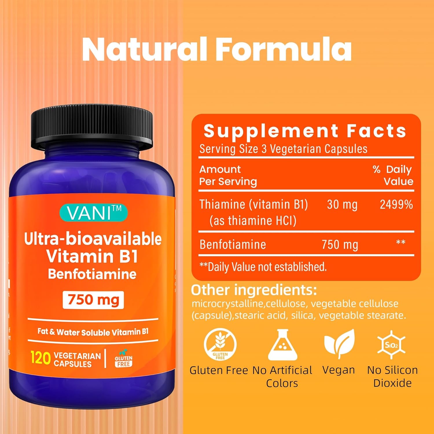 Enhanced Formula VANI Vitamin B1 Supplement with 750mg Benfotiamine - 2 in 1 Fat & Water Soluble Thiamine | 120 Capsules (Gluten Free)