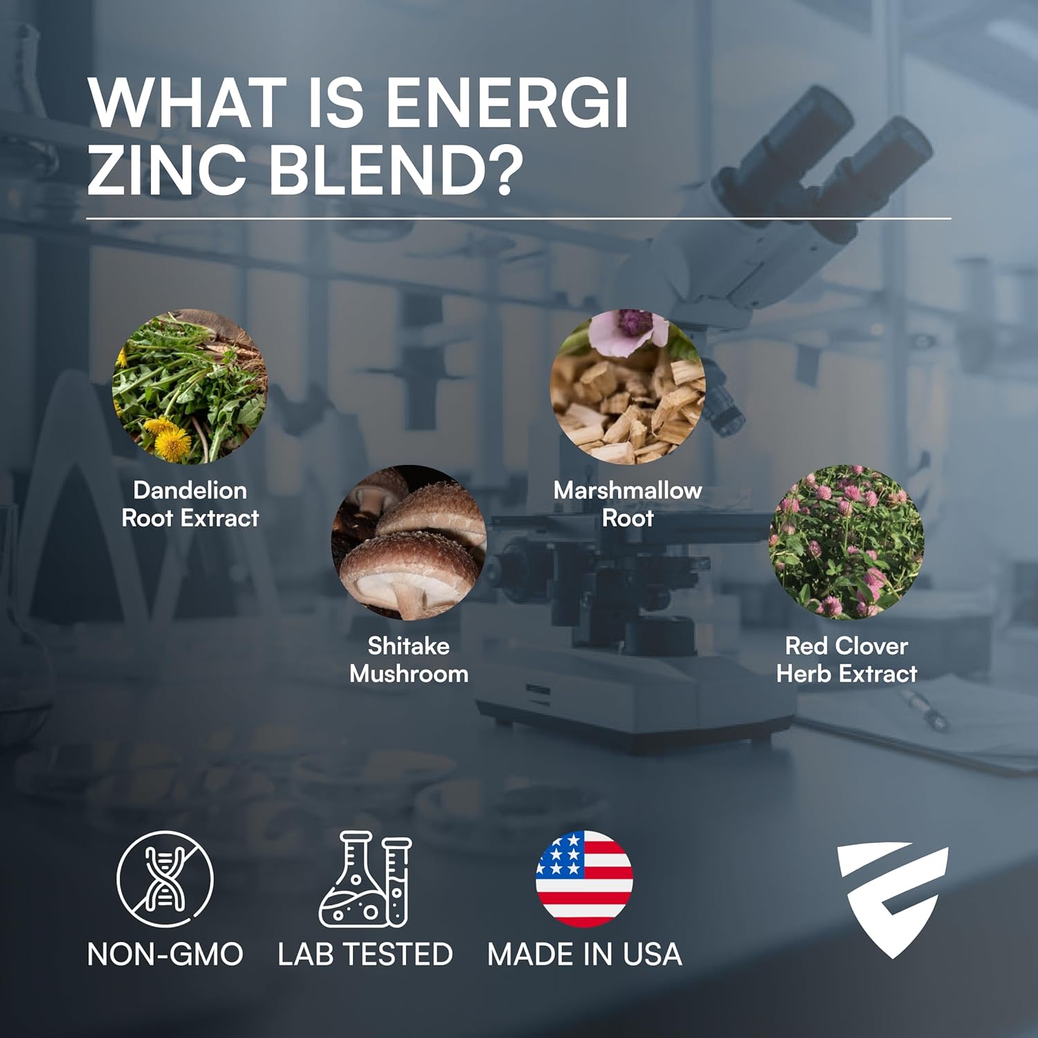 ENZYME NUT Zinc Immune Support Supplement with Vitamin A, B-3, B-6, Marshmellow Root, Dandelion Root Extract, Shiitake Mushroom - 90 Capsules