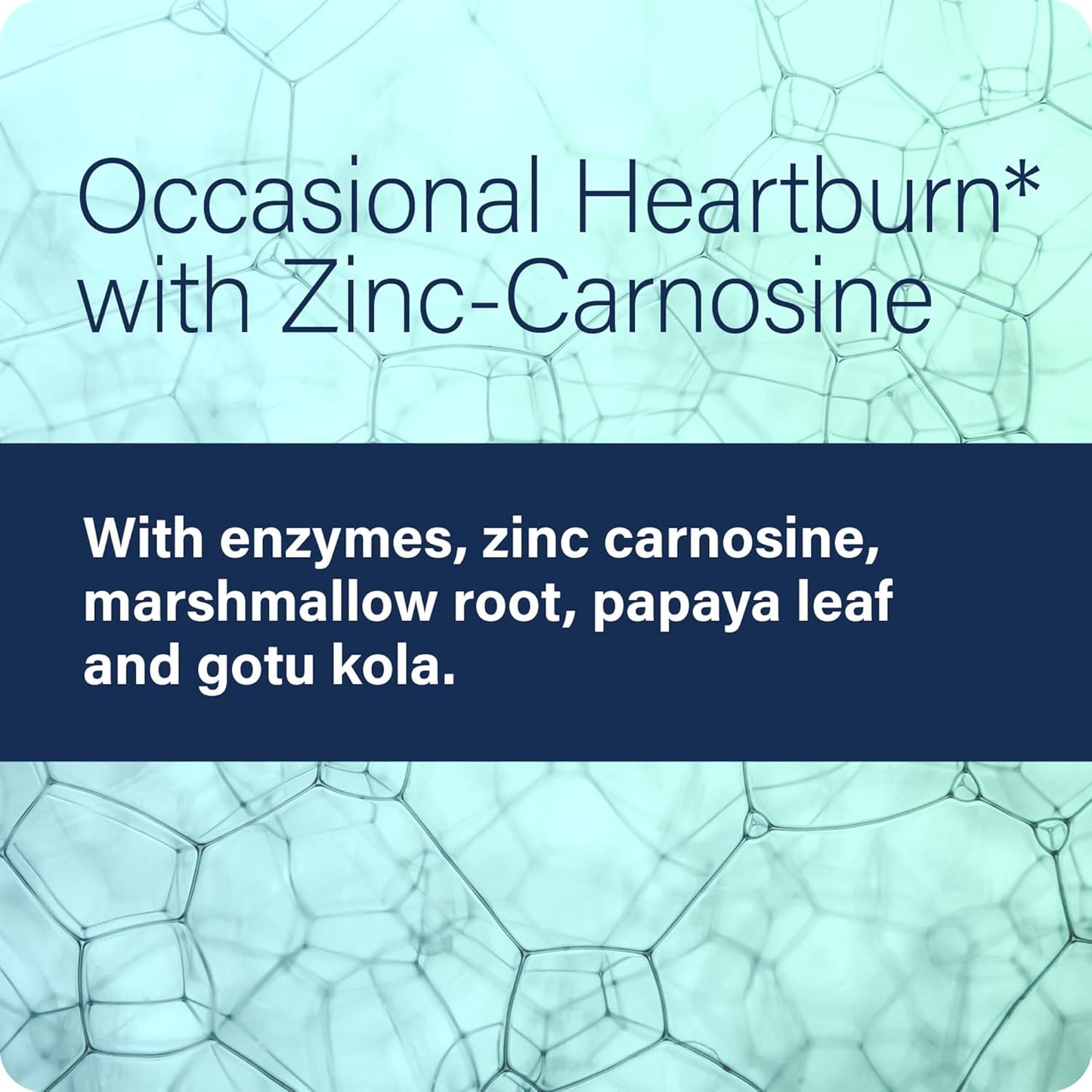 Enzyme Science Acid Calm Capsules - Digestive Enzyme Supplement for Heartburn & Indigestion - 90 Vegetarian Capsules