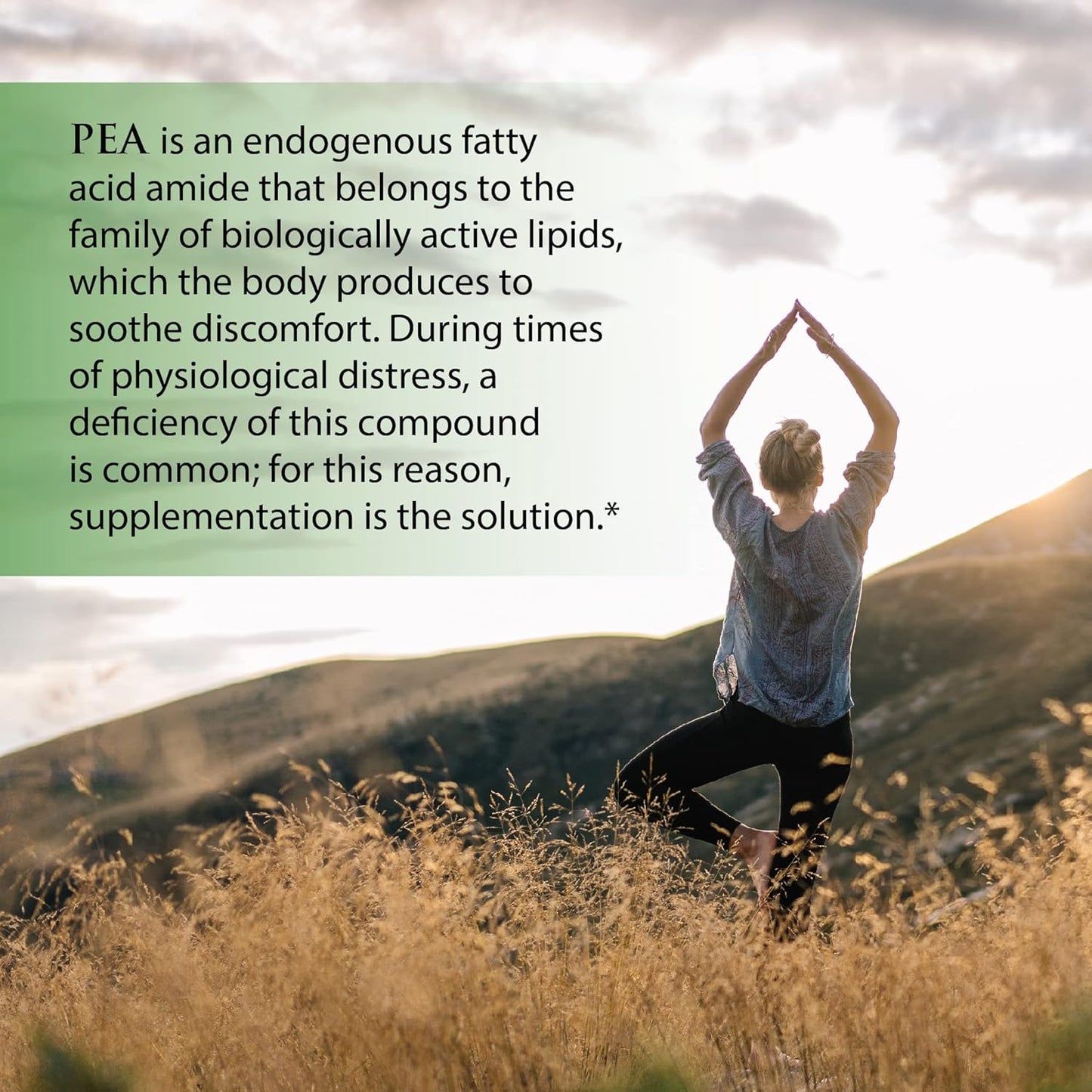 Enzyme Science Myomend and (Pea)+ 60 for Recovery and Mobility Support
