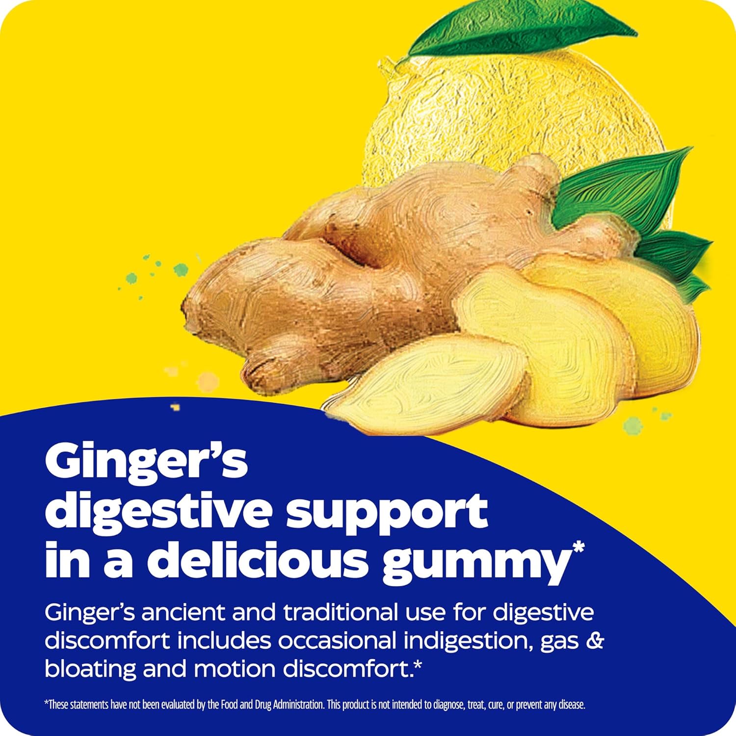 Enzymedica Ginger and Vitamin B6 Gummies - High Potency Support for Nausea and Indigestion - 60 Count