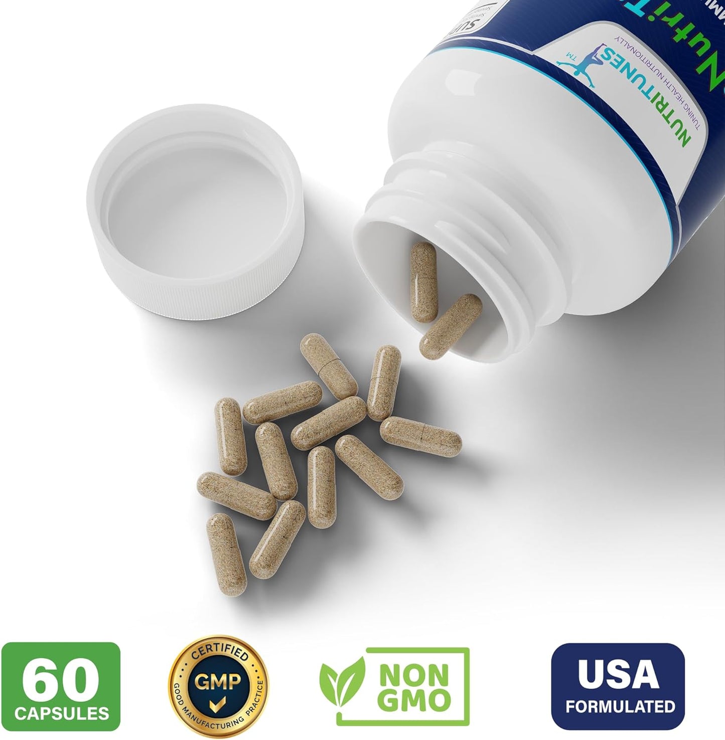 Epicor Probiotic Blend for Digestive, Immune, and Gut Health - Vegan & Non-GMO - 60 Capsules