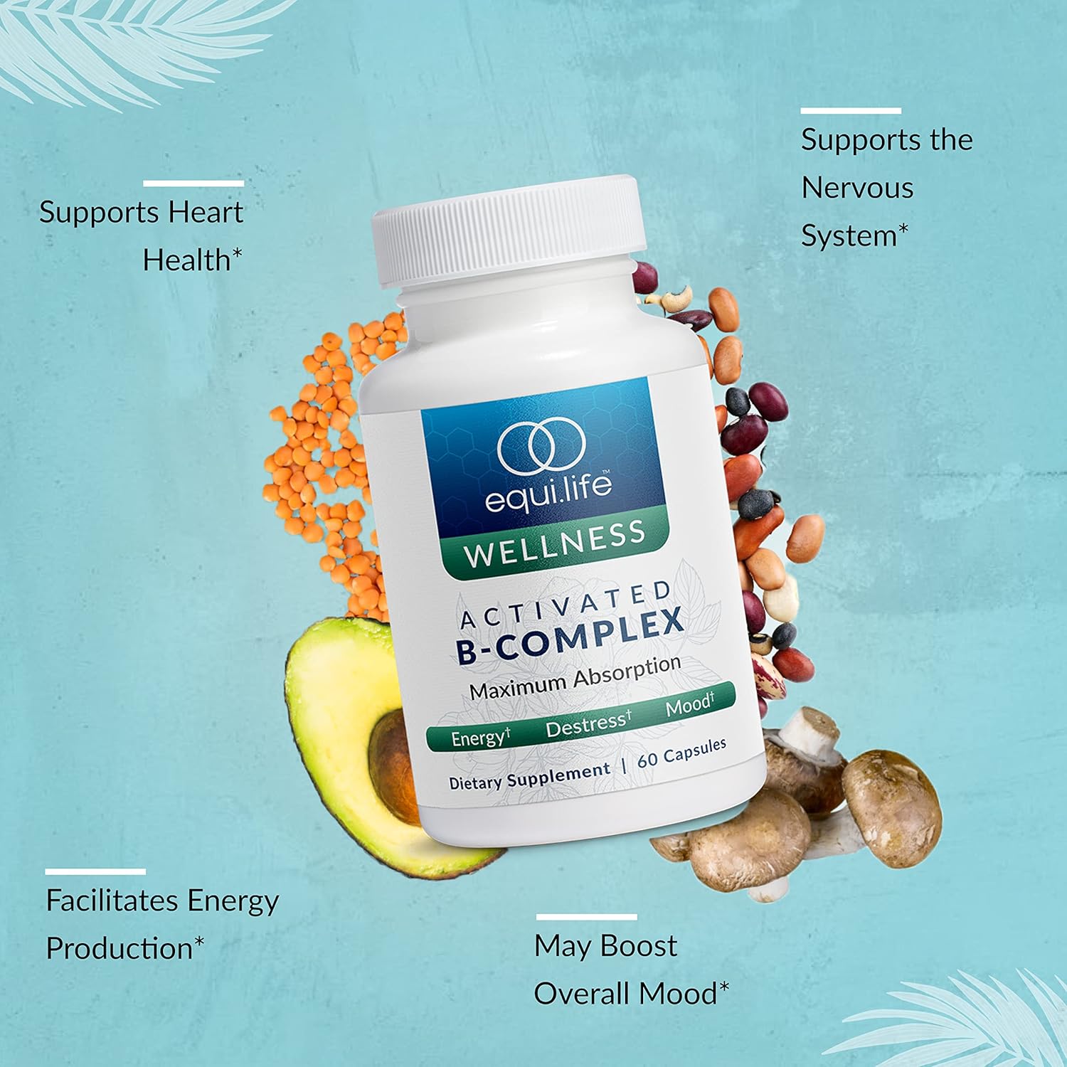 Equilife Daily Nutrition Bundle: Activated B Complex, Full Spectrum Magnesium, Multi-Vitamin - 60 ct, 180 ct, 30 Servings