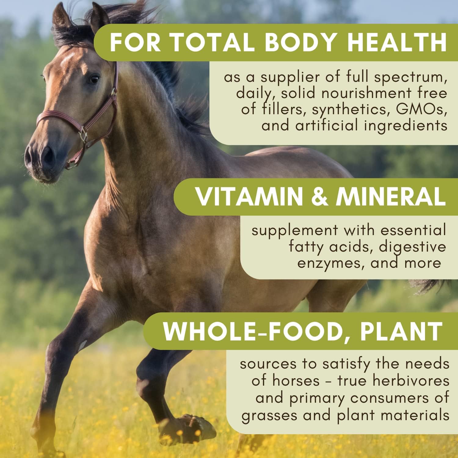 Equine Complete: Horse Multivitamin for Total Body Health - 4 Lb Horse Supplement with Vitamins, Minerals, Prebiotics, Probiotics, Antioxidants