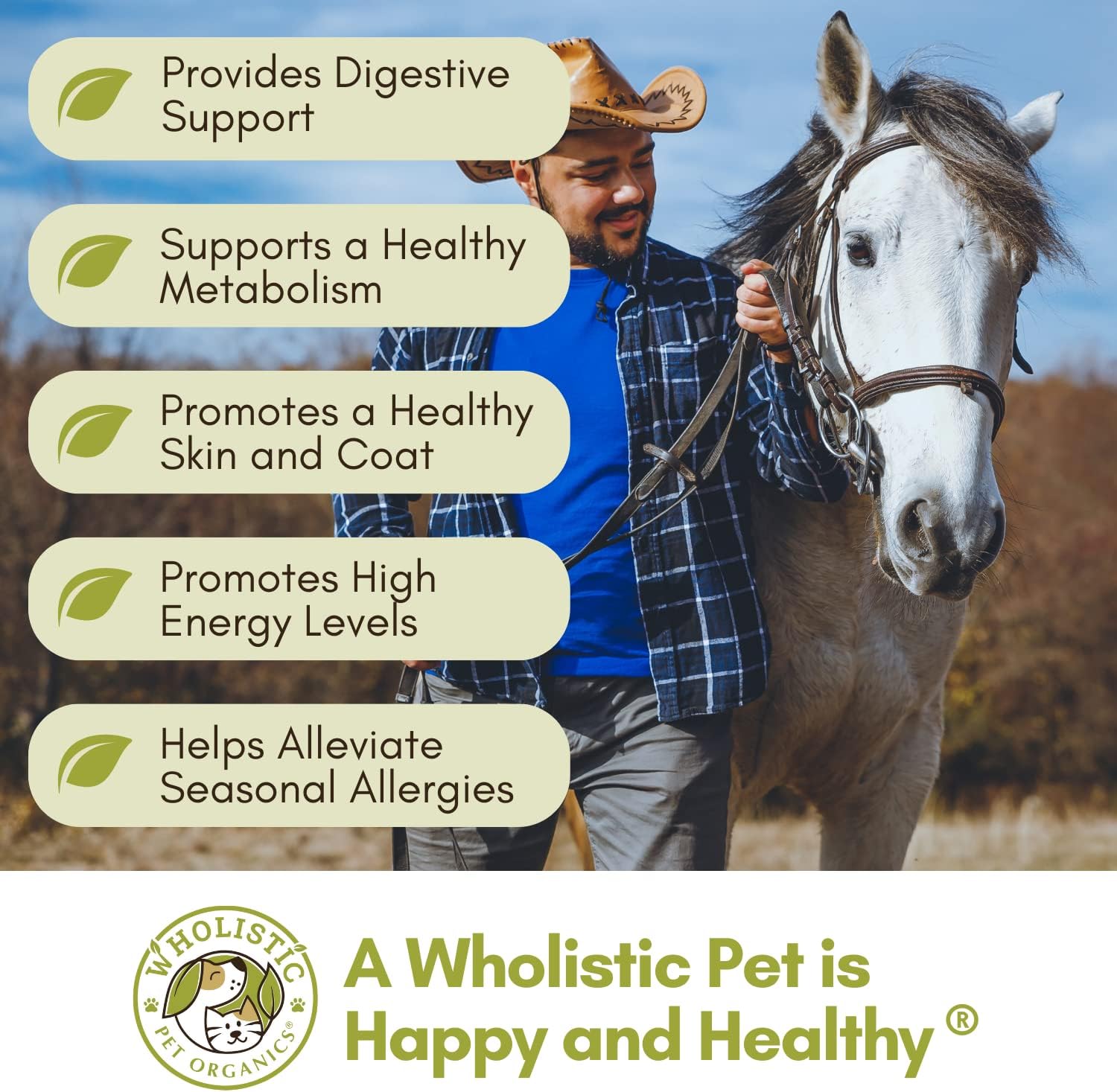 Equine Complete: Horse Multivitamin for Total Body Health - 4 Lb Horse Supplement with Vitamins, Minerals, Prebiotics, Probiotics, Antioxidants