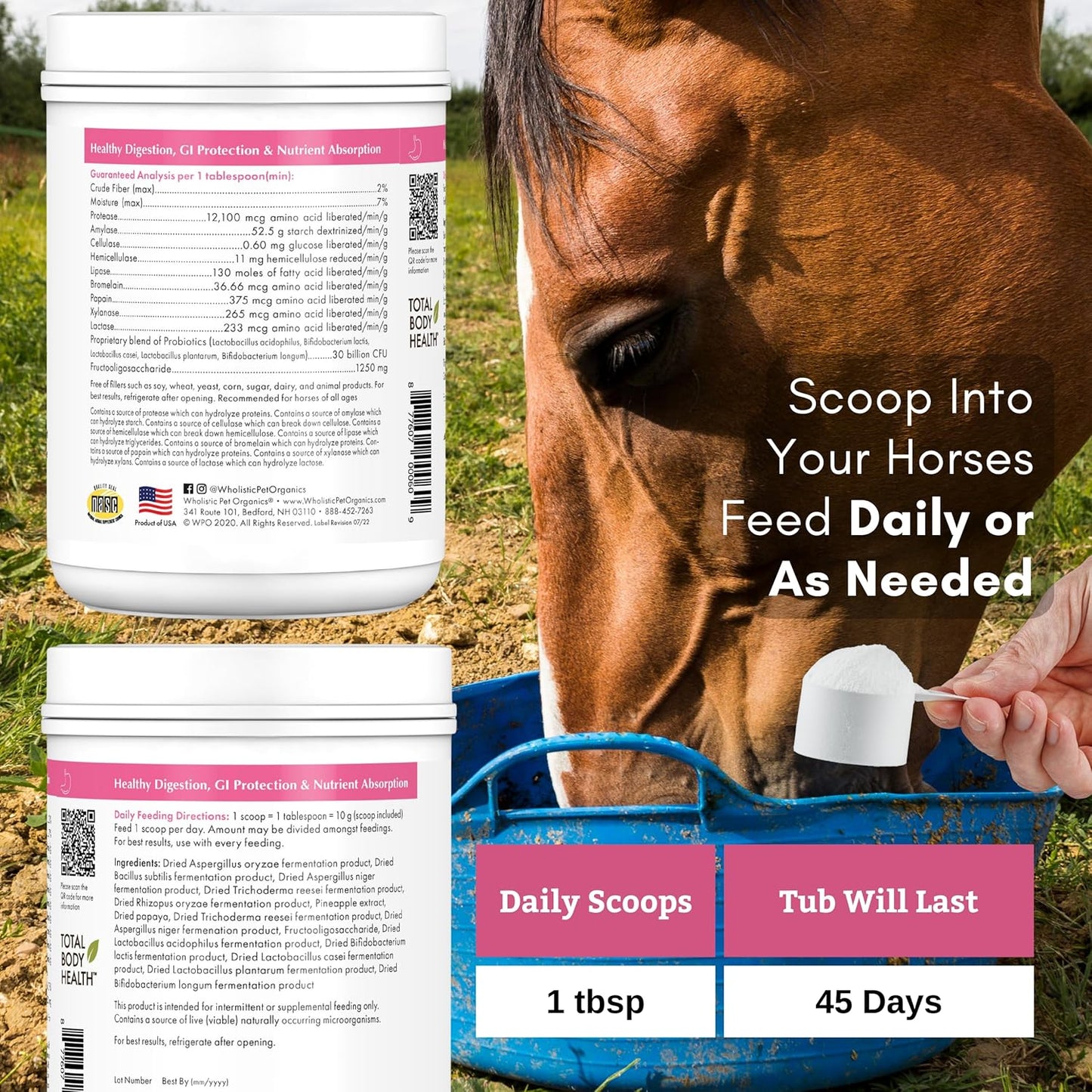 Equine Digestive Supplements: Wholistic Pet Organics Digest-All Plus - 1 Lb Powder for Horse Probiotics, Prebiotics, and Enzymes - Promotes Gut Health, Relieves Gas and Constipation