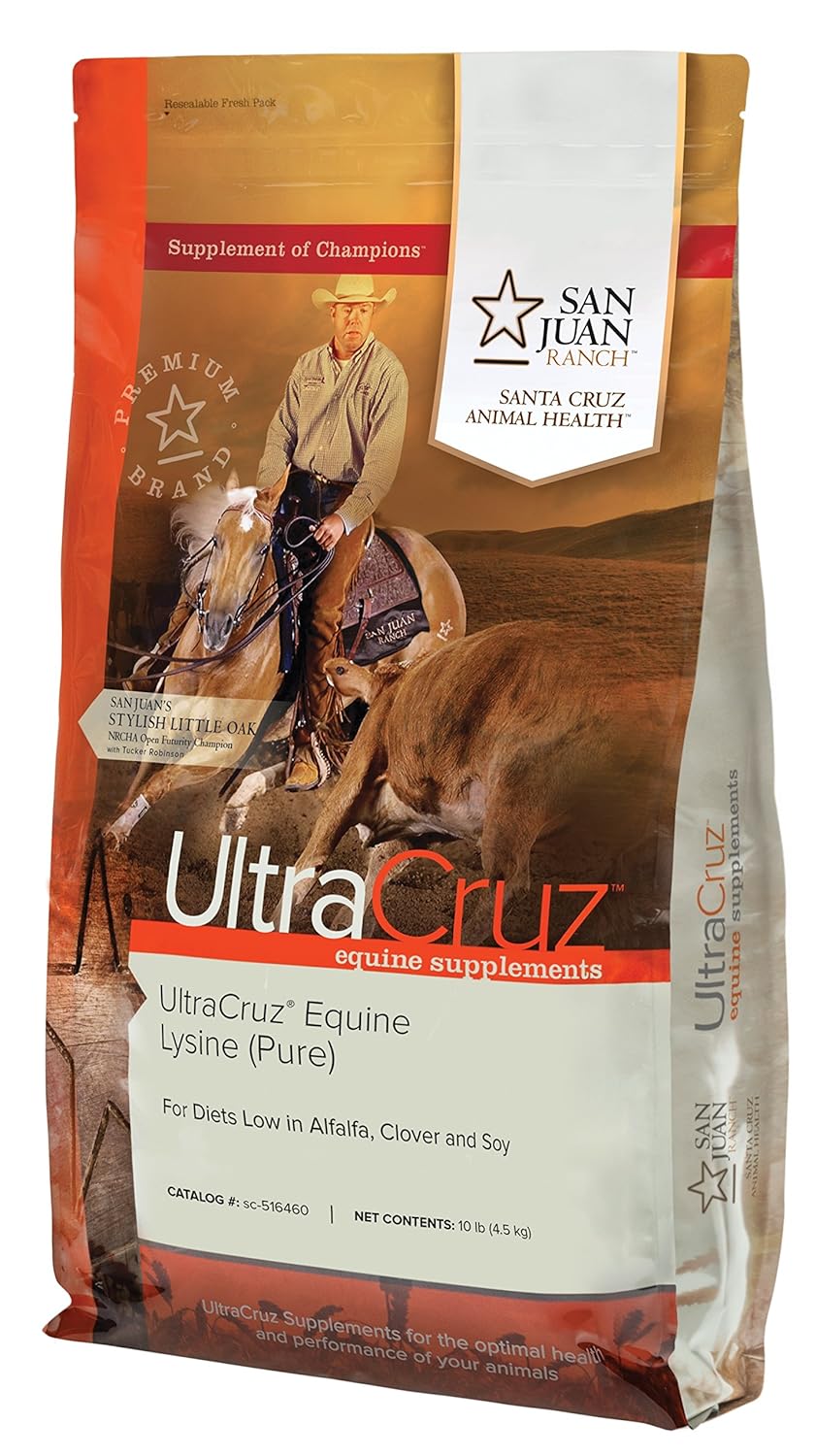 Equine Lysine Supplement for Horses - 10 lb. Pellet, 80 Day Supply by UltraCruz
