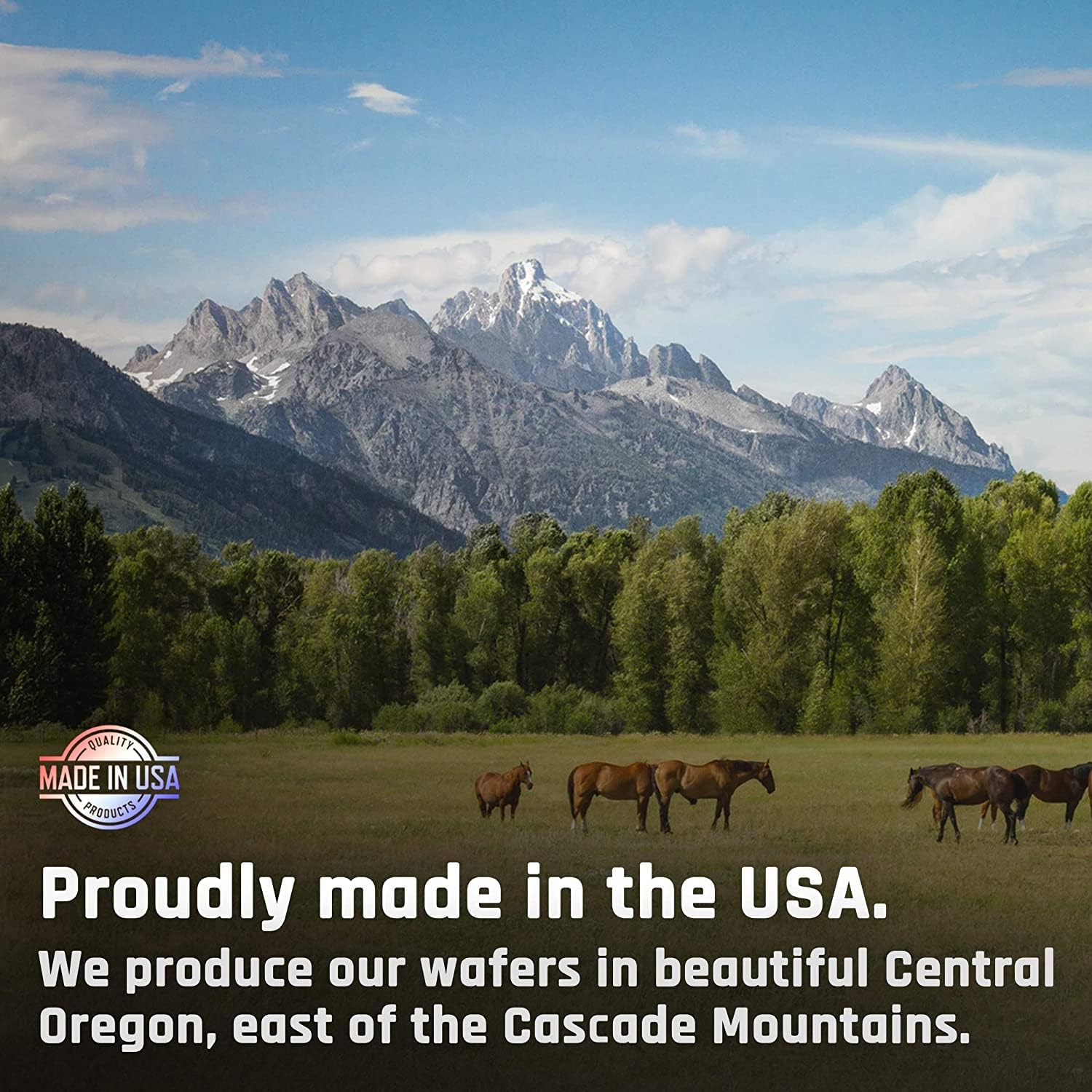 Equine Majesty's Kalm Wafers for Balanced Behavior and Nervous System - Tryptophan, Vitamin B1, Winter Cherry - 30 Count