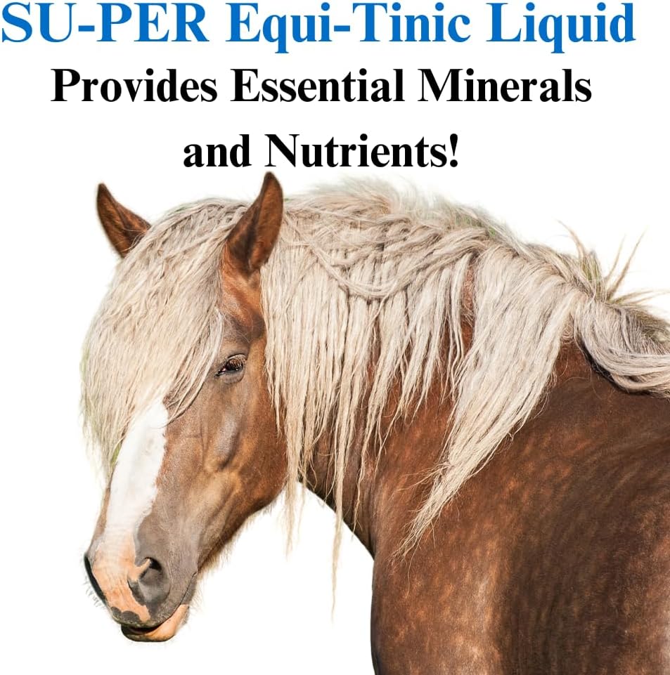 Equine Mineral Supplement for Healthy Blood Cells & Energy - 1 Gallon Size