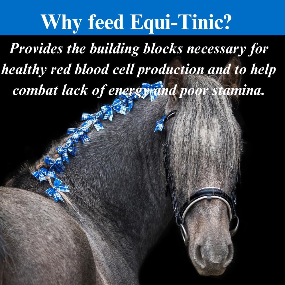 Equine Mineral Supplement for Healthy Blood Cells & Energy - 1 Gallon Size