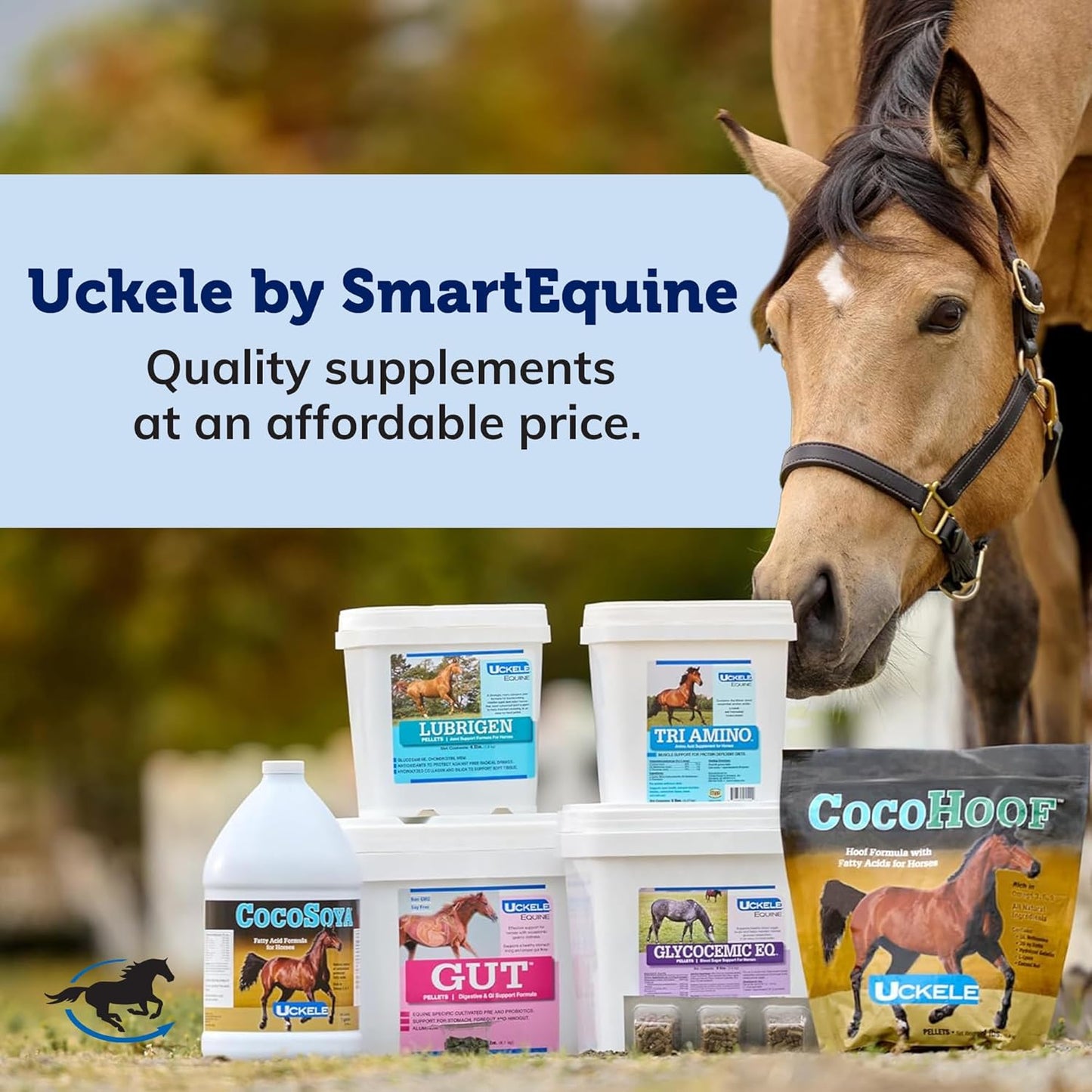 Equine Probiotic Powder for Healthy Horse Gut | Uckele Gut™ Powder by SmartPak | Prebiotic & Probiotic Supplement | 10 lb Bucket