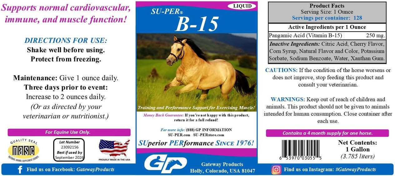 Equine Vitamin B-15 Liquid Supplement for Horses - Supports Cardiovascular, Immune, and Muscle Function - 1 Gallon, 120-Day Supply