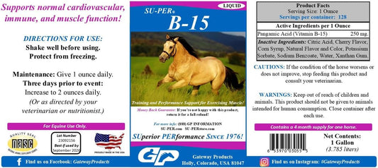 Equine Vitamin B-15 Liquid Supplement for Horses - Supports Cardiovascular, Immune, and Muscle Function - 1 Gallon, 120-Day Supply