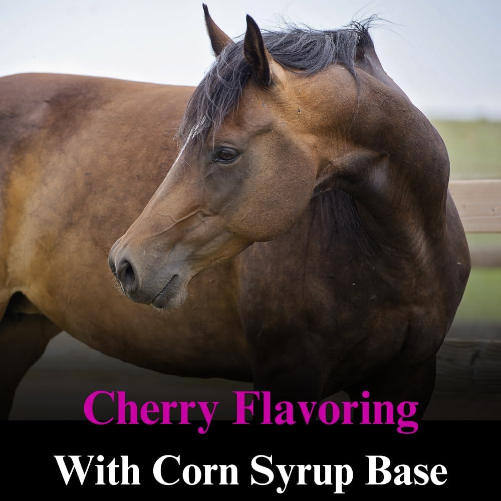 Equine Vitamin B-15 Liquid Supplement for Horses - Supports Cardiovascular, Immune, and Muscle Function - 1 Gallon, 120-Day Supply